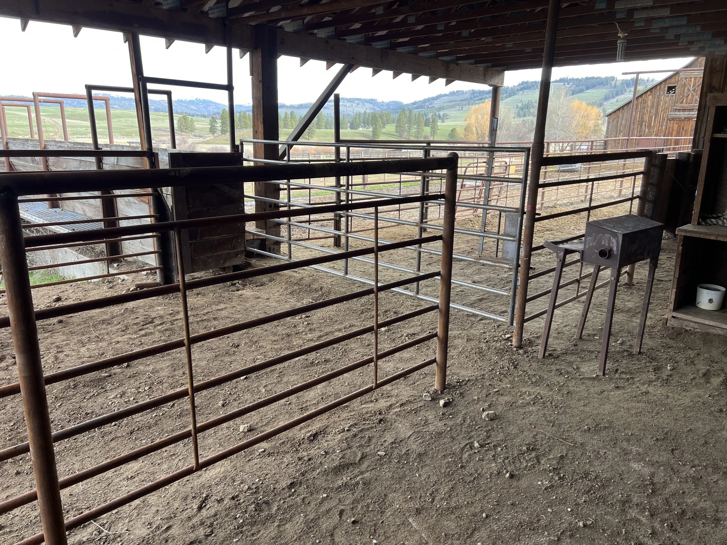 The image shows a view from inside a barn or stable, looking out onto a farm landscape with hills, trees, and a wooden barn or shed in the distance. The interior has metal railings and a dirt floor.
