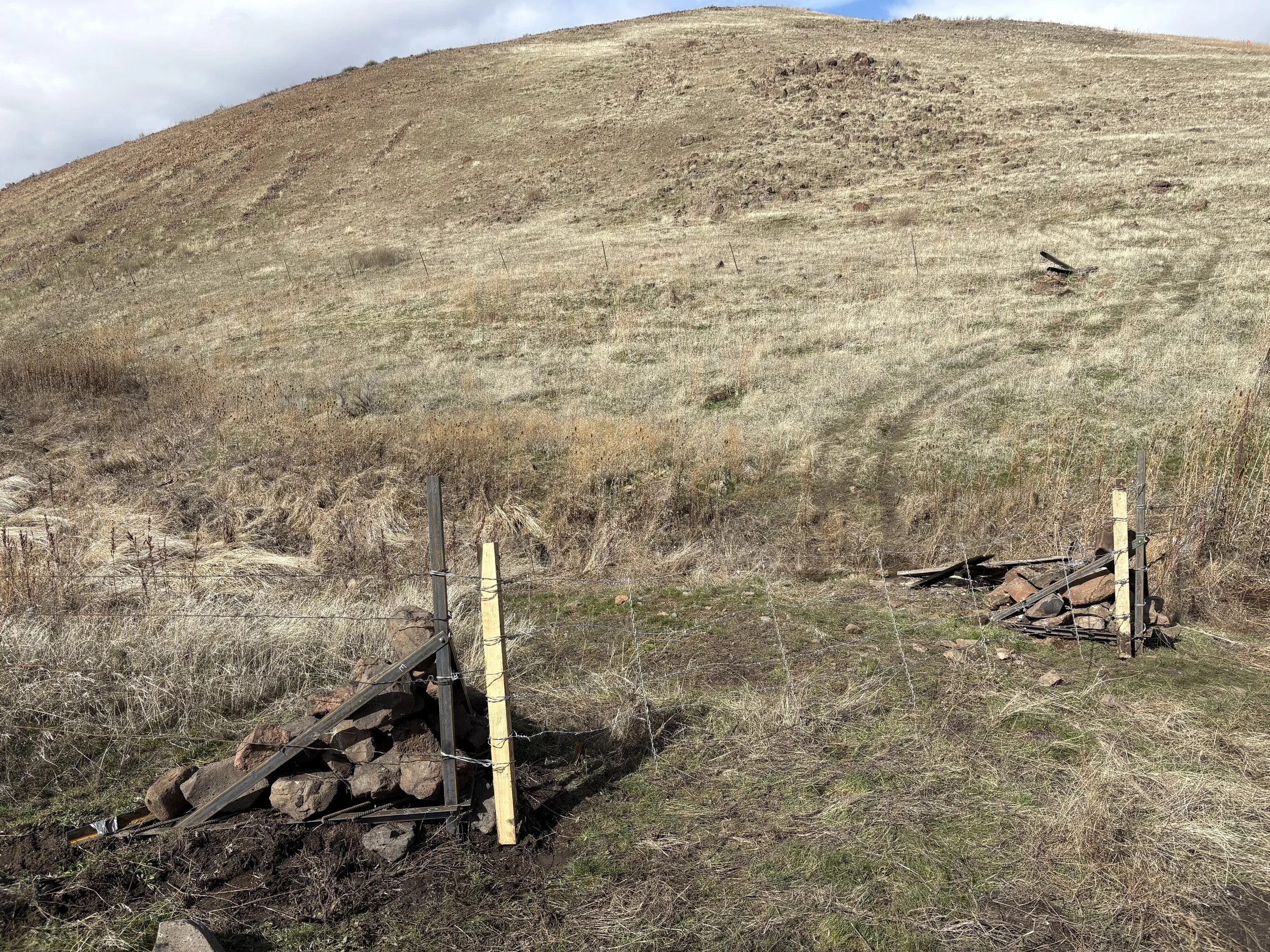 A hillside with yellowish-brown grass and sparse vegetation, partially enclosed by a makeshift fence with broken wooden posts and chain links, some rocks and dirt debris at the base.