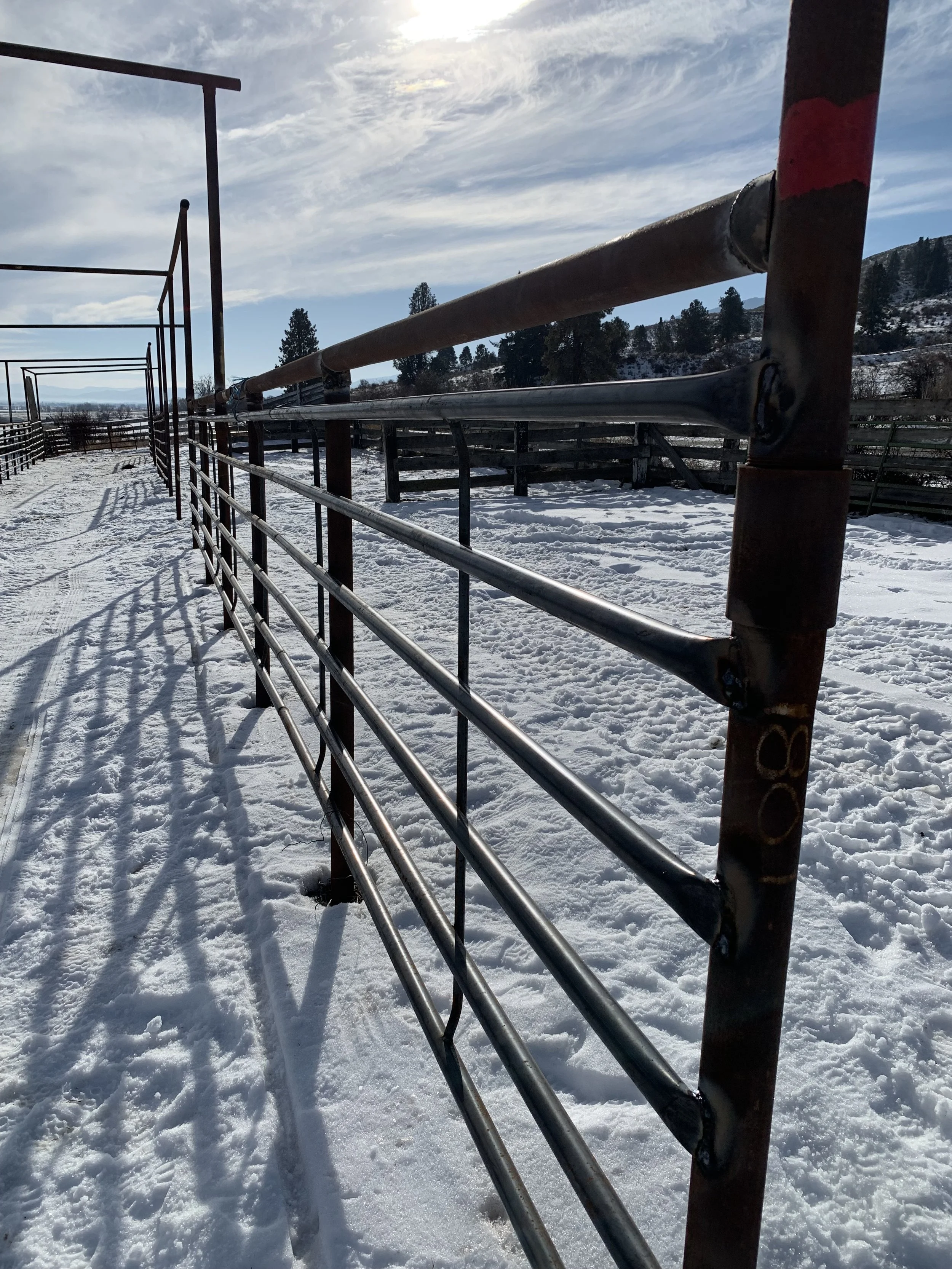 A snow-covered outdoor riding arena with metal rails and fence, with a hilly landscape and trees in the background under a partly cloudy sky.