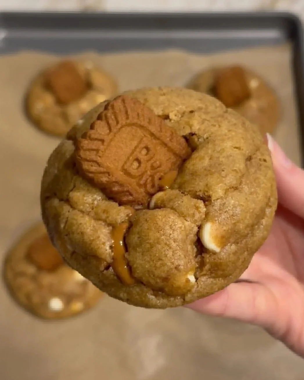 White Chocolate Biscoff Stuffed Cookie