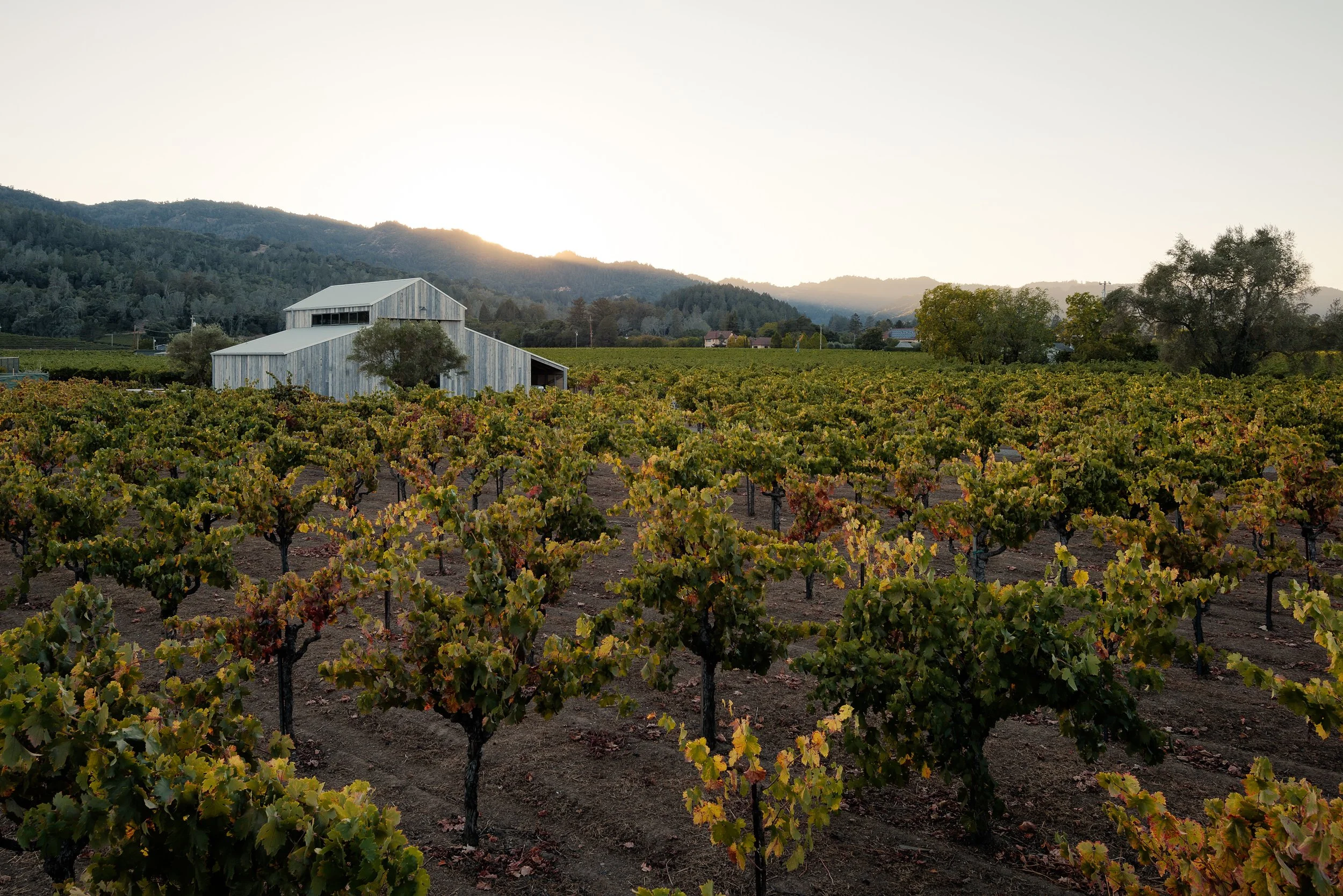 FieldArchitecture_Napa-51.jpg
