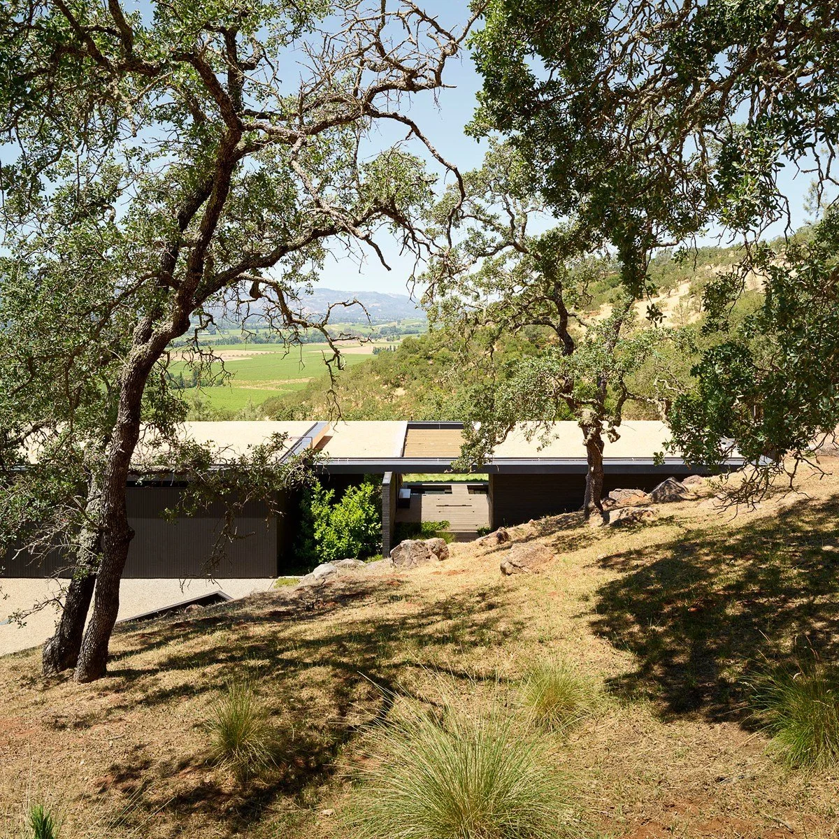 There&rsquo;s a unique magic to northern California living - where the boundary between indoor shelter and the expansive Napa Valley landscape completely dissolves.

For our Stag&rsquo;s Leap project, we worked with the visionary team at @aidlindarli