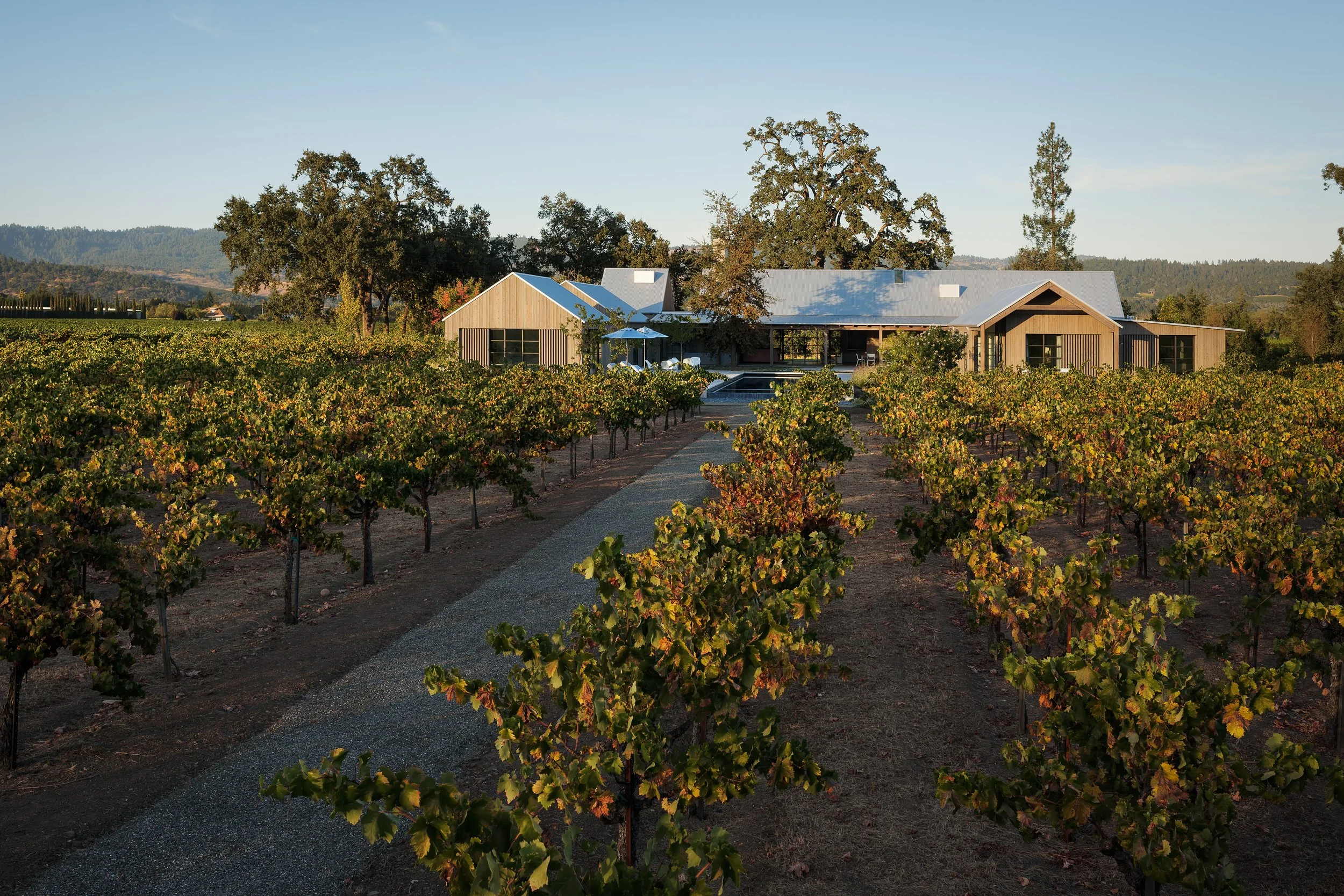 A modern house with metal roof and large windows is situated among a vineyard, with trees and hills in the background, under a clear blue sky.