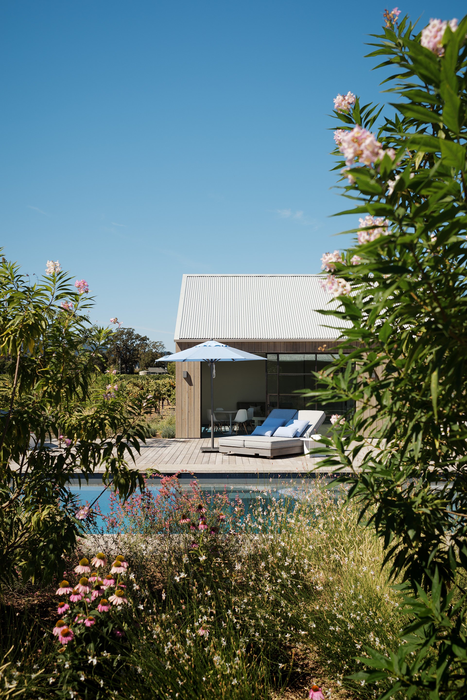 FieldArchitecture_Napa-74.jpg