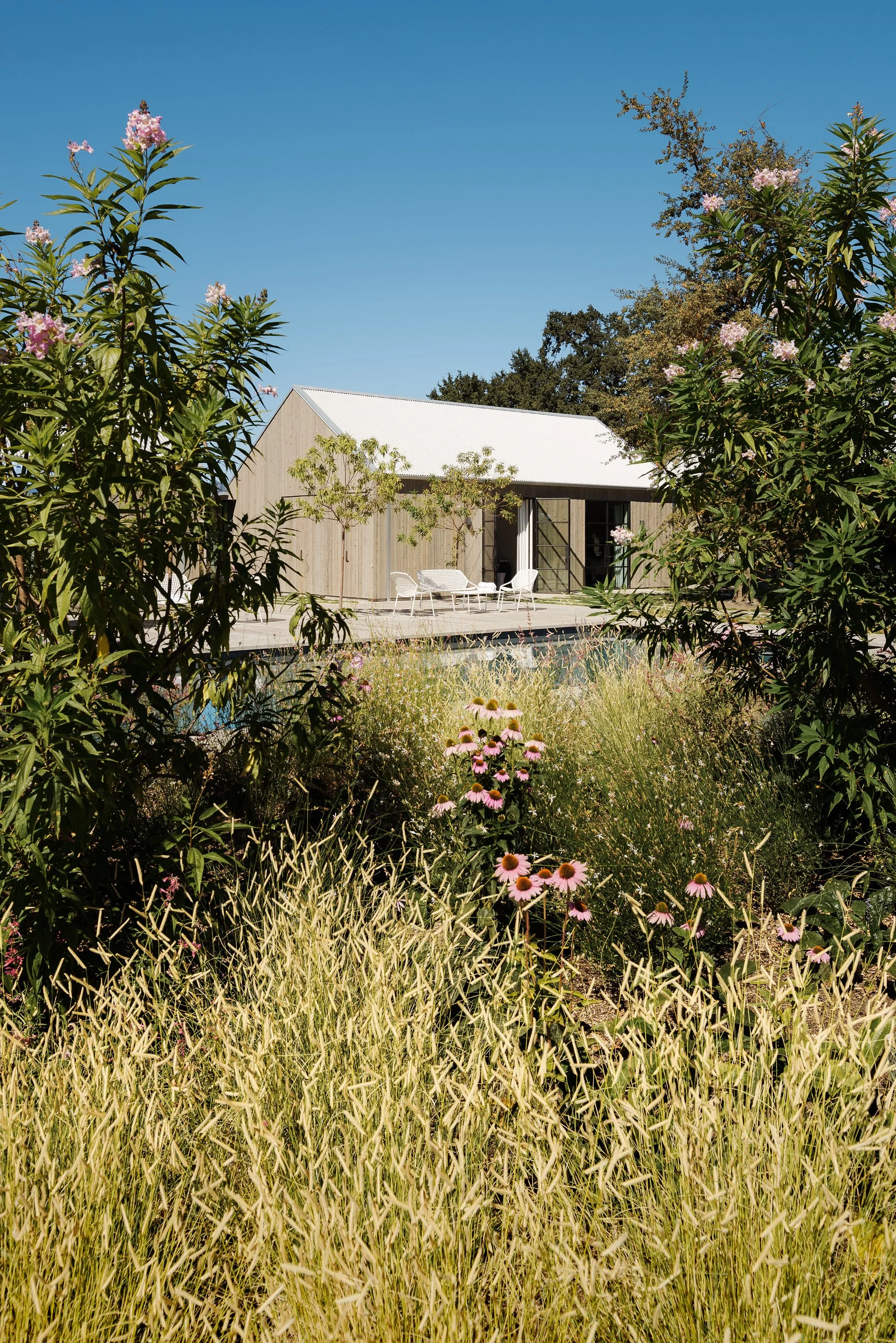 FieldArchitecture_Napa-39.jpg