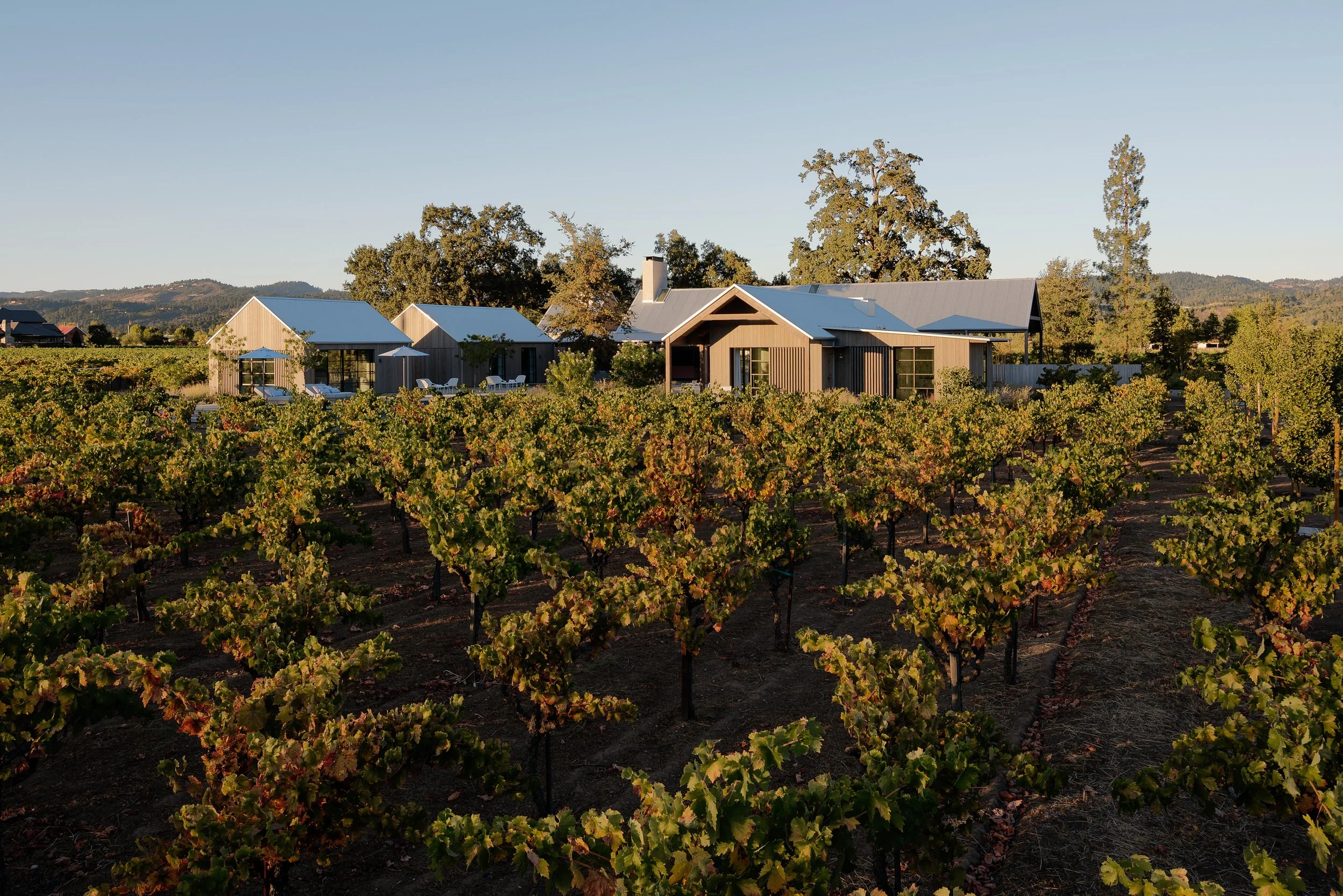 FieldArchitecture_Napa-50.jpg