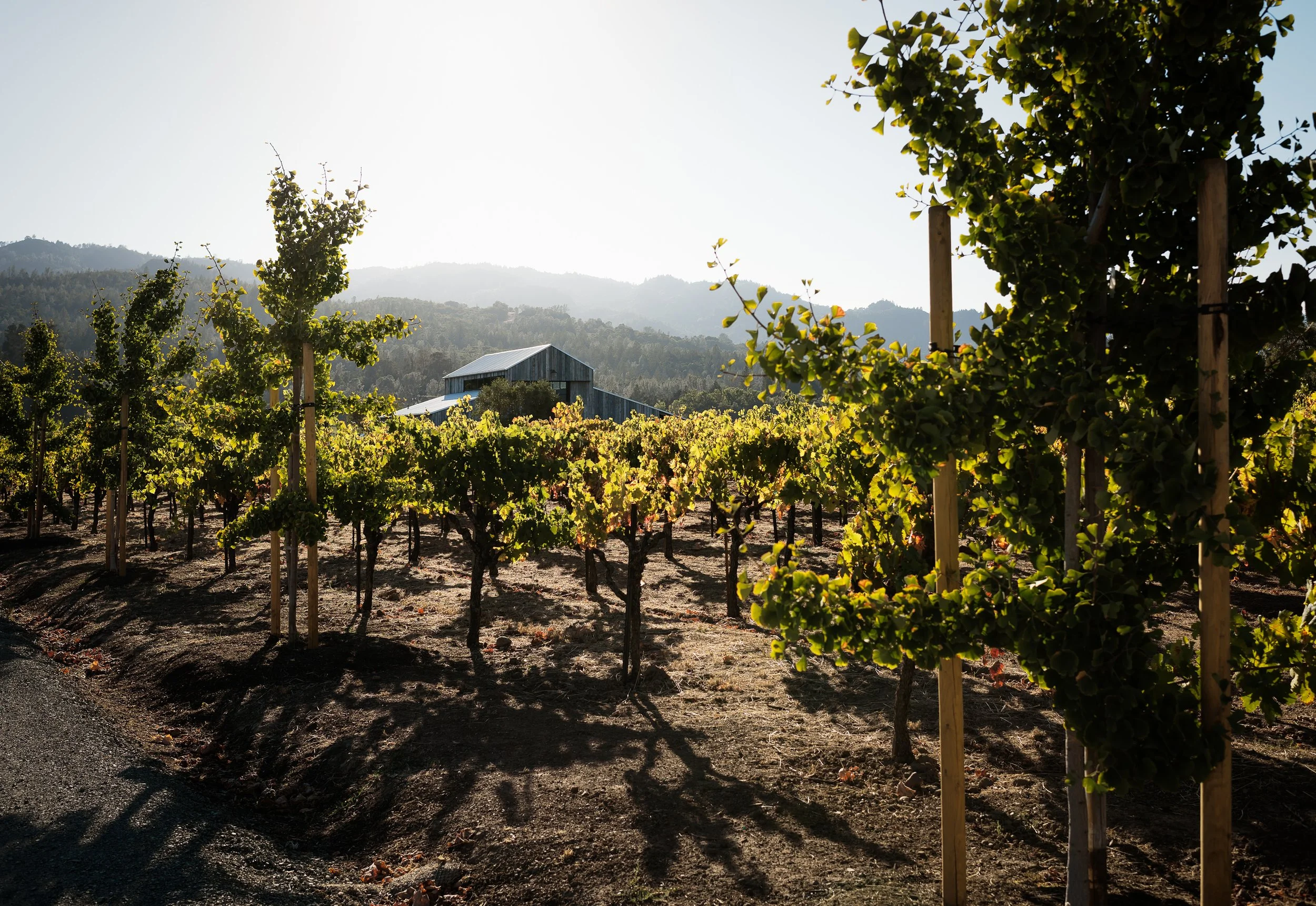 FieldArchitecture_Napa-94.jpg