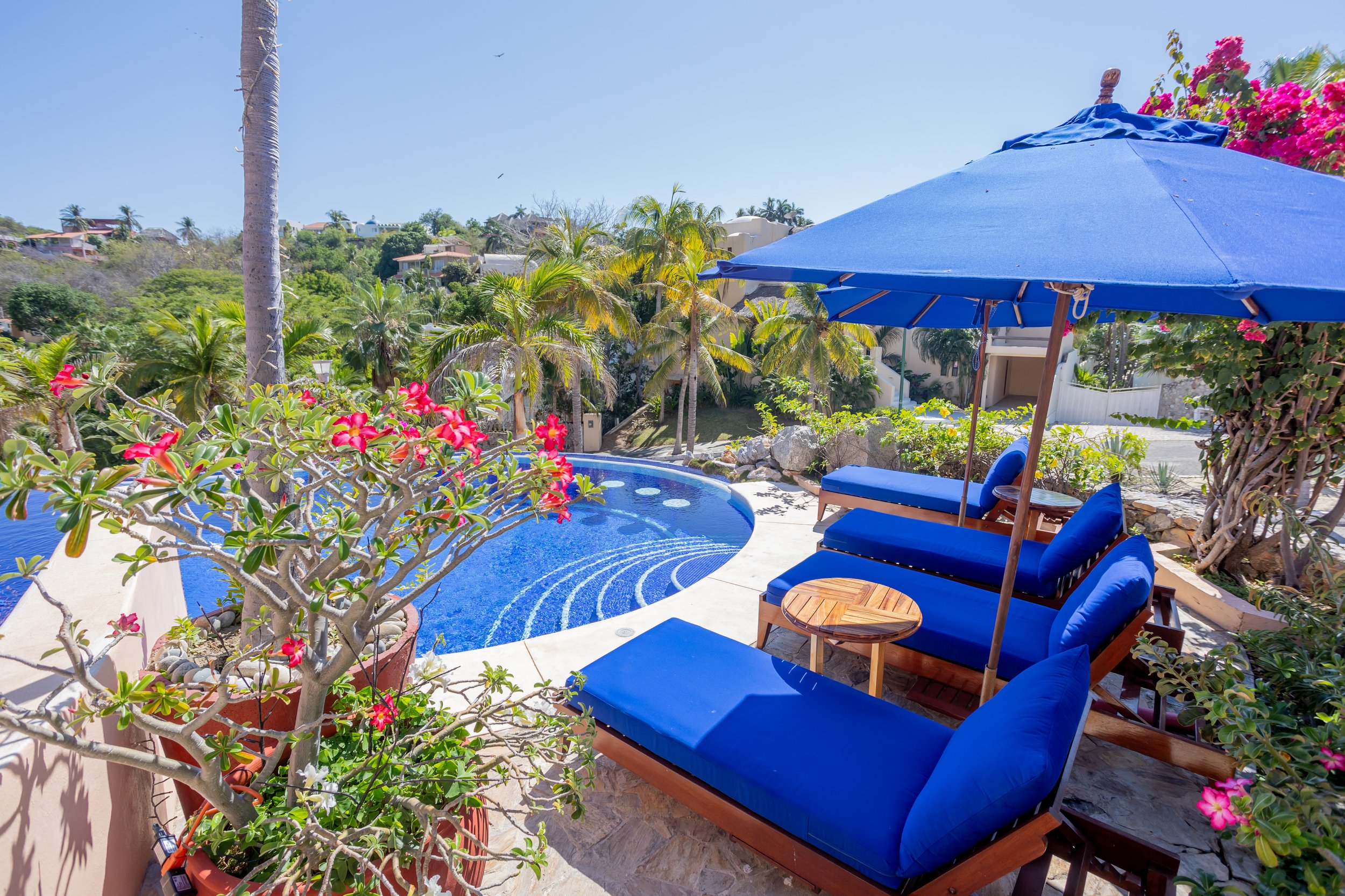 A backyard pool area with blue cushioned lounge chairs, an overhead blue umbrella, pink flowering plants, palm trees, and hillside houses in the background under a clear blue sky.