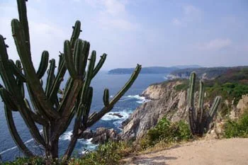 Coastal landscape with cliffs, ocean waves, and cactus plants in the foreground.