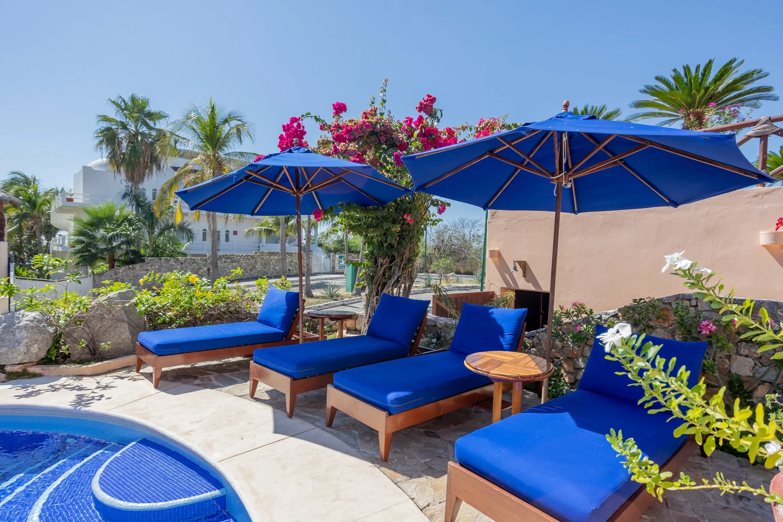 Outdoor patio area with blue lounge chairs, large blue umbrellas, and vibrant pink and white flowering plants, surrounded by palm trees and a stone wall under a clear blue sky.