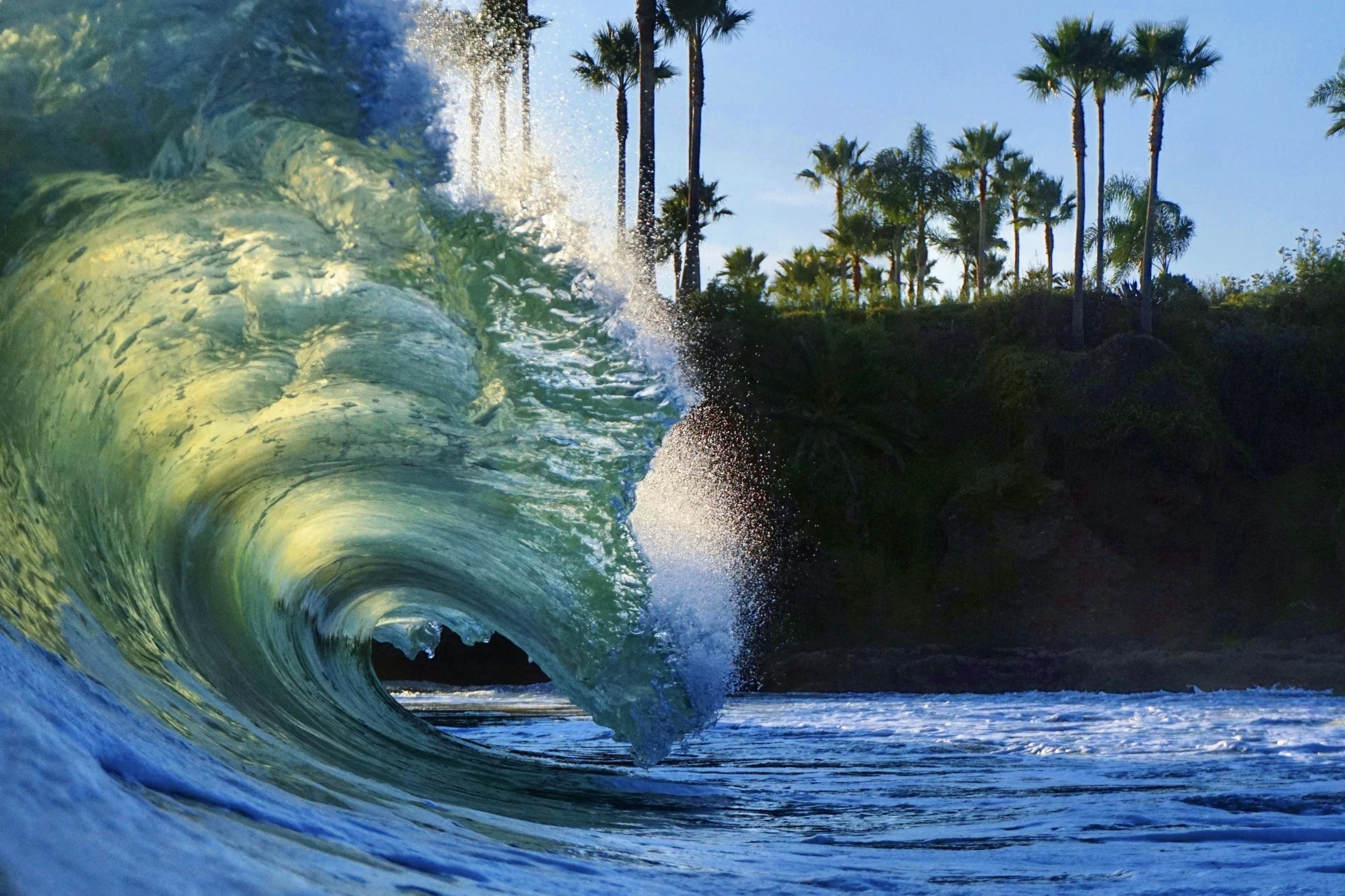 A large ocean wave curling over with a hollow center, set against a background of tall palm trees and a blue sky with some clouds.