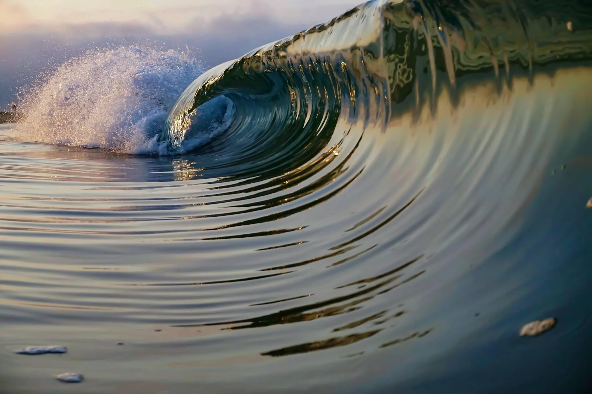Close-up of an ocean wave curling with sunlight reflecting on the water, with small debris floating on the surface.