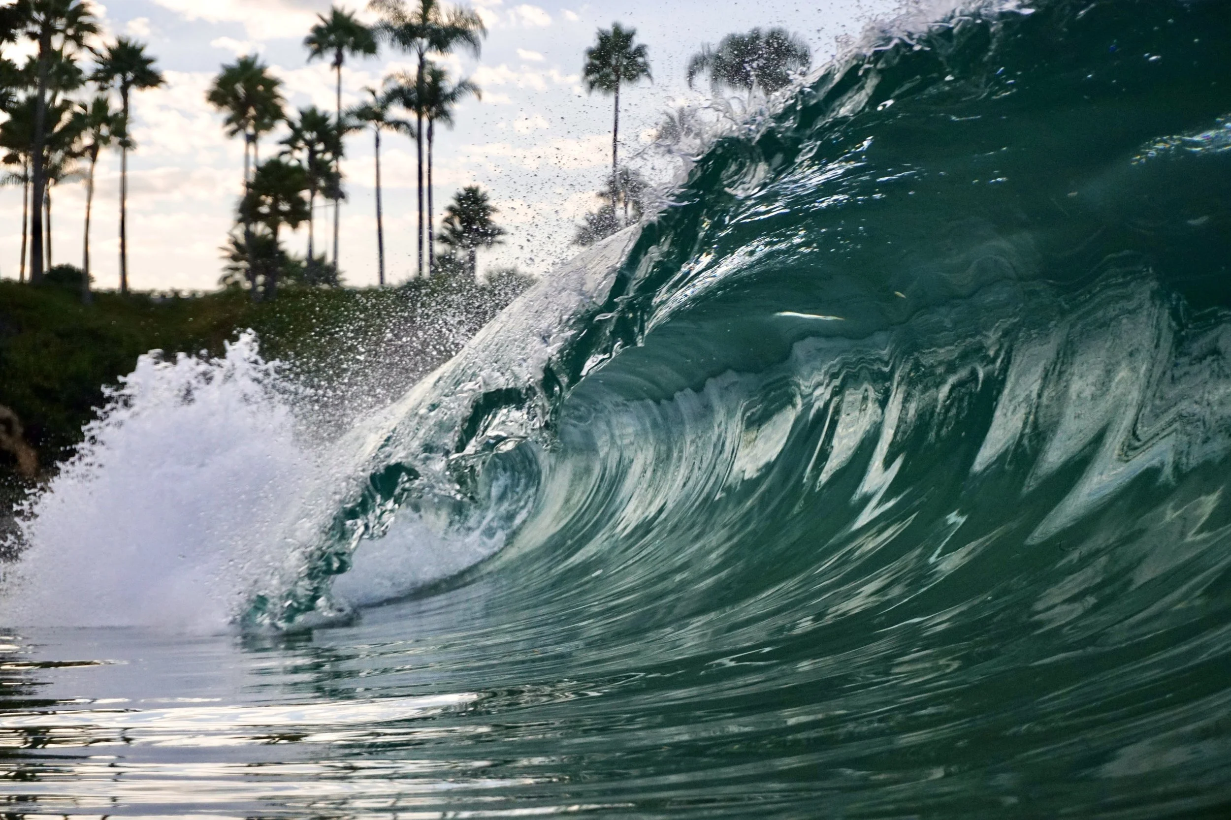 Photo of ocean wave with a shoreline and palm trees in the background under a cloudy sky.