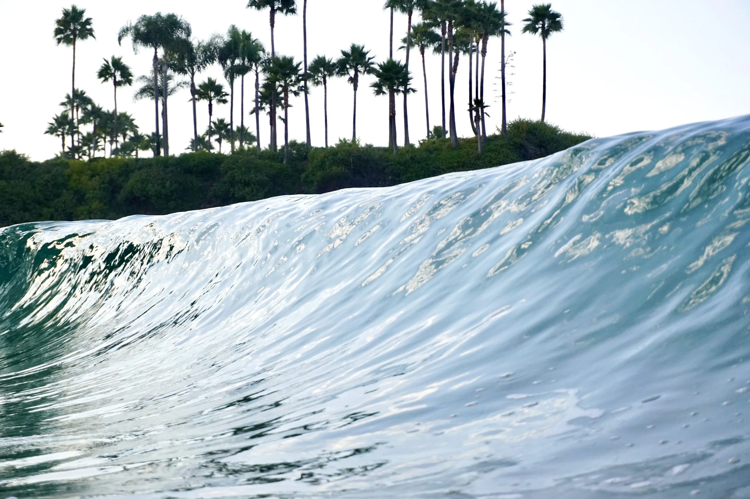 Wave breaking near the shoreline with numerous tall palm trees on a hill in the background.