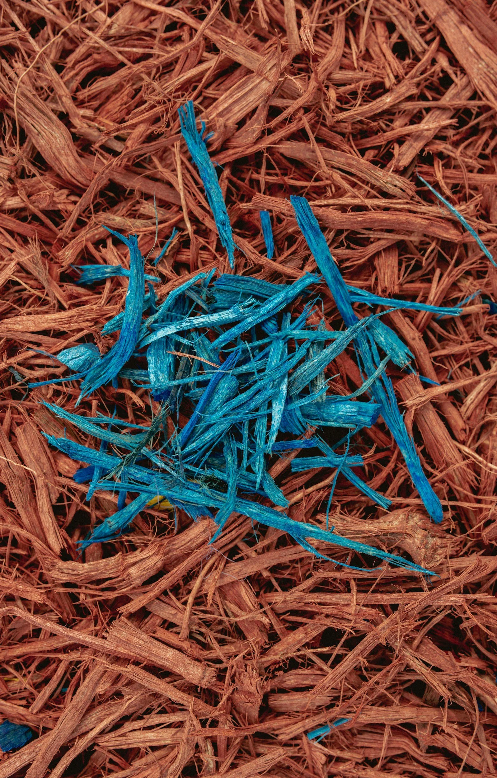 Close-up of shredded orange-brown material with blue plastic strands intertwined.
