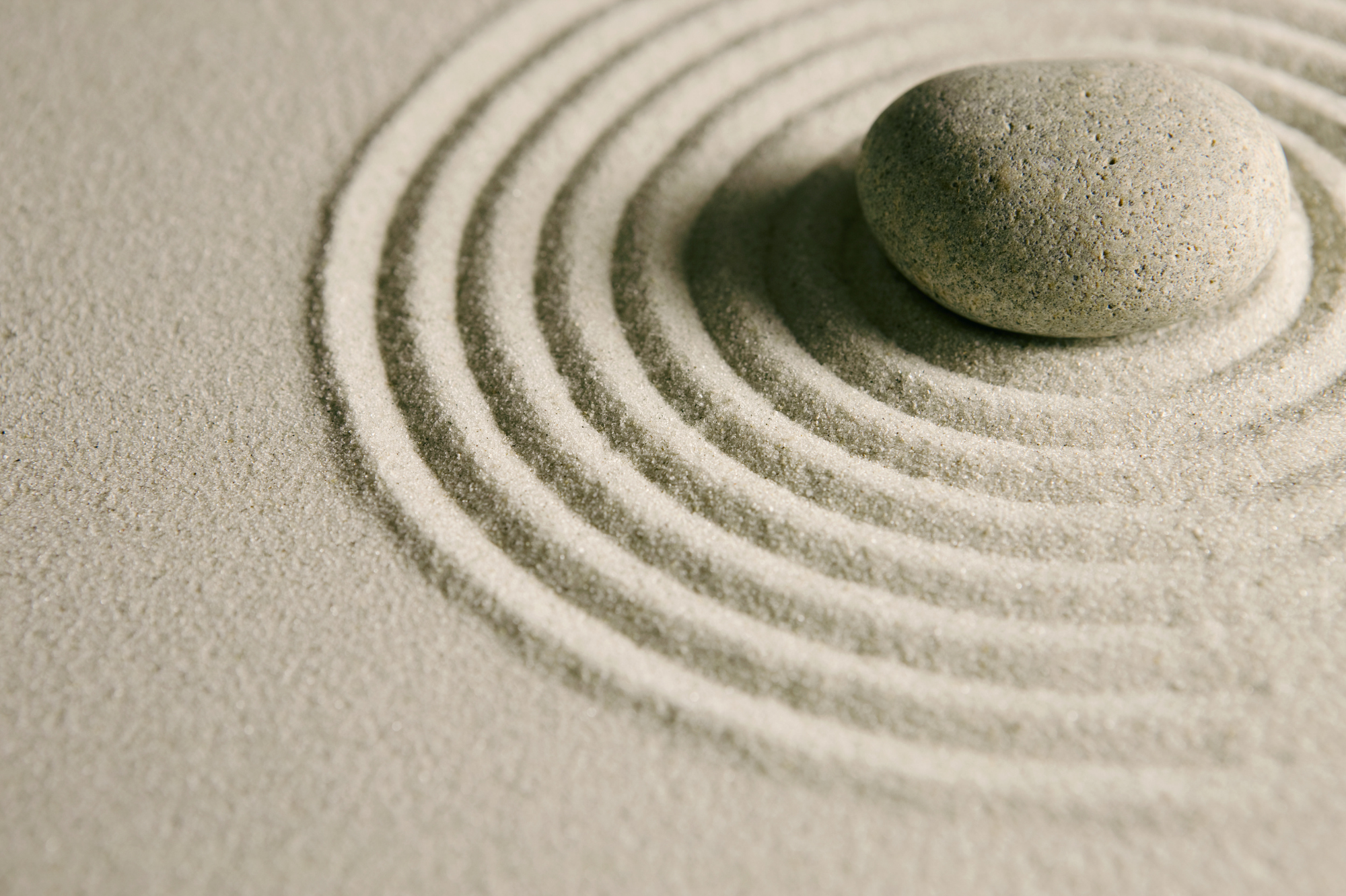 Raked sand in concentric circles around a smooth stone in a zen garden