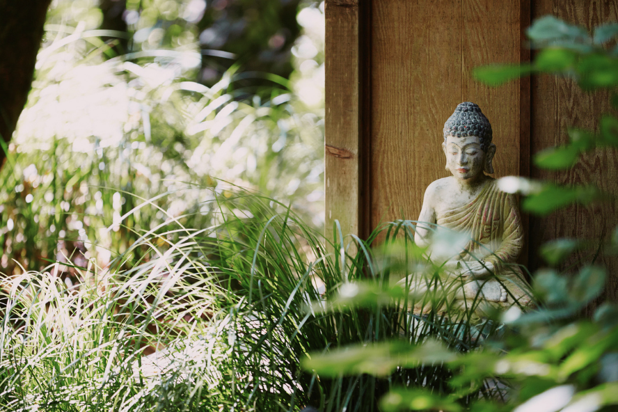 Pale Buddha statue partly hidden among soft green grasses.