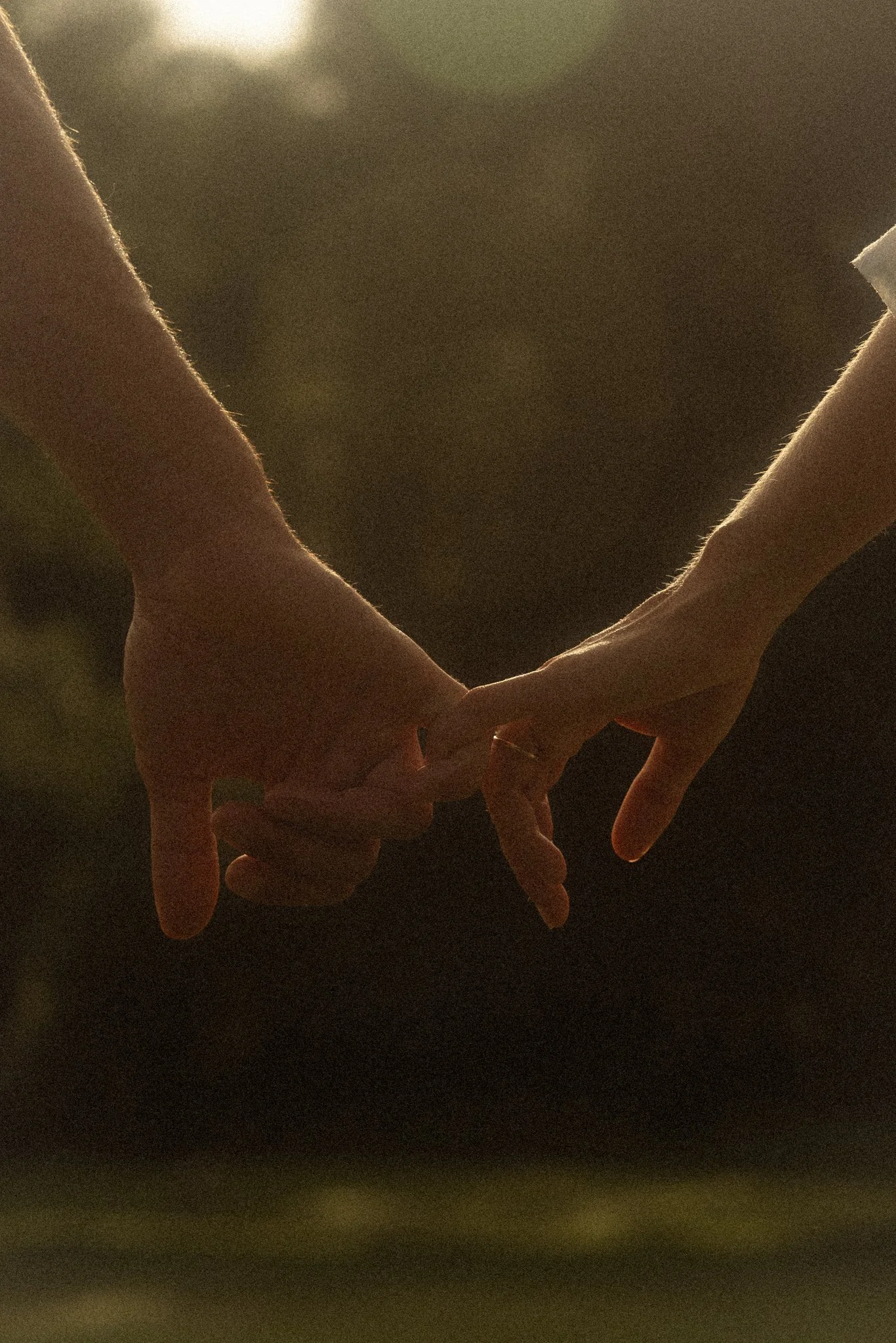 Two people holding hands against warm backlit background.
