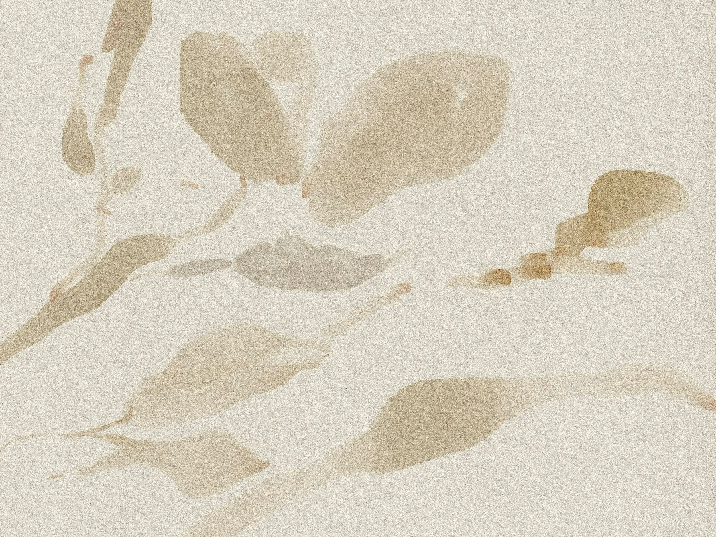 Abstract watercolor in soft neutral tones.