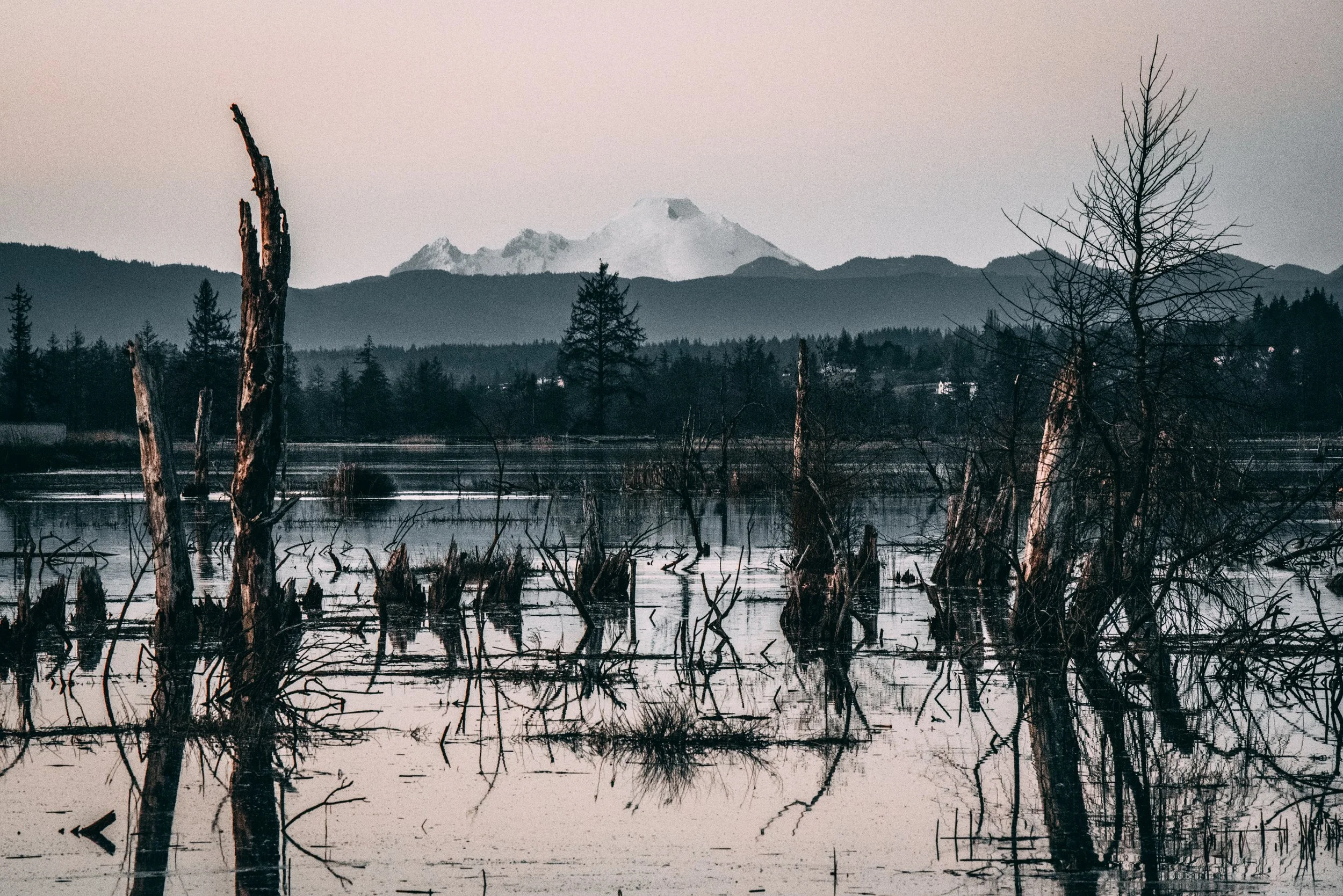 DSC_6520.jpg