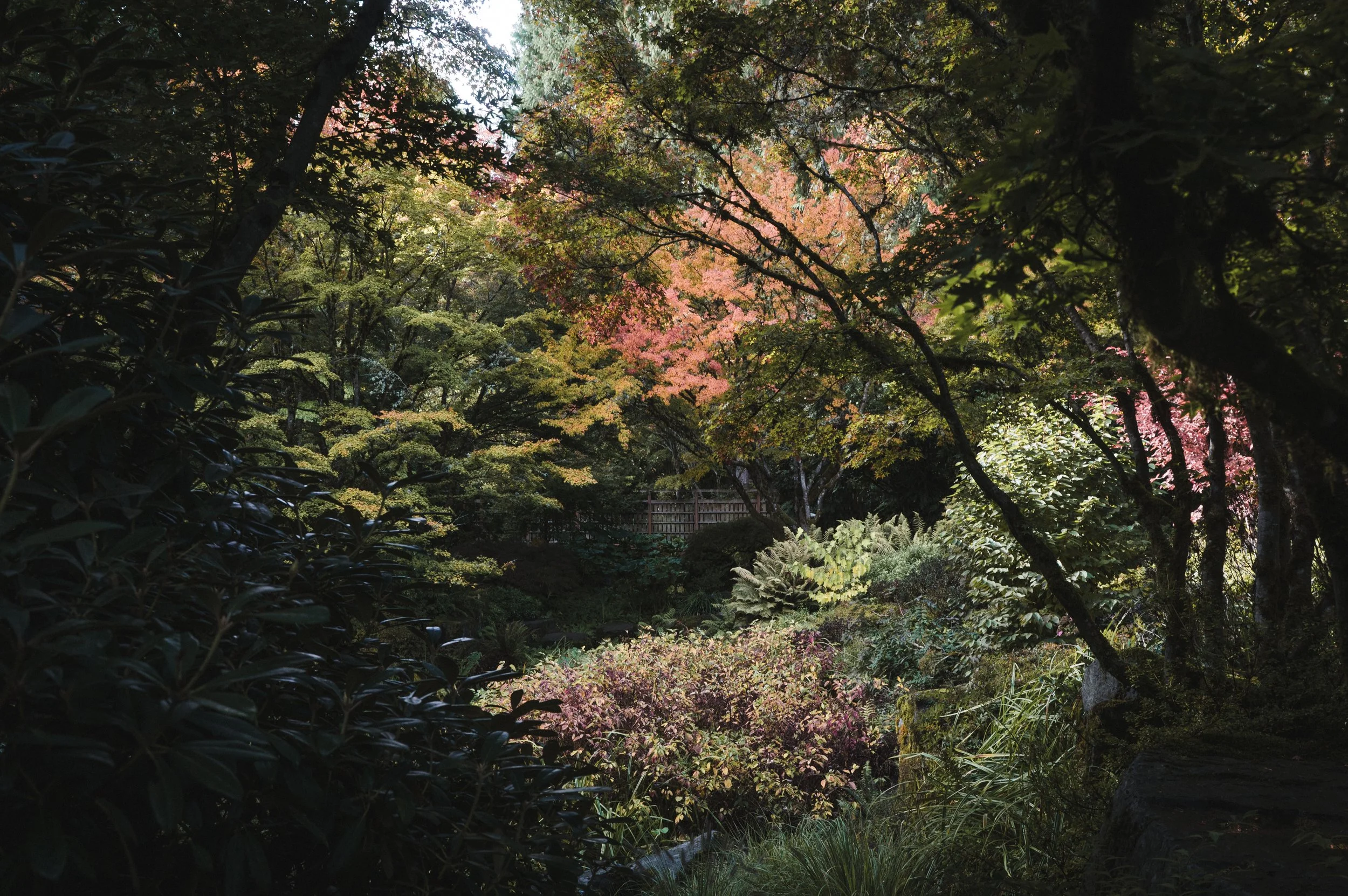_EBL5764.jpg