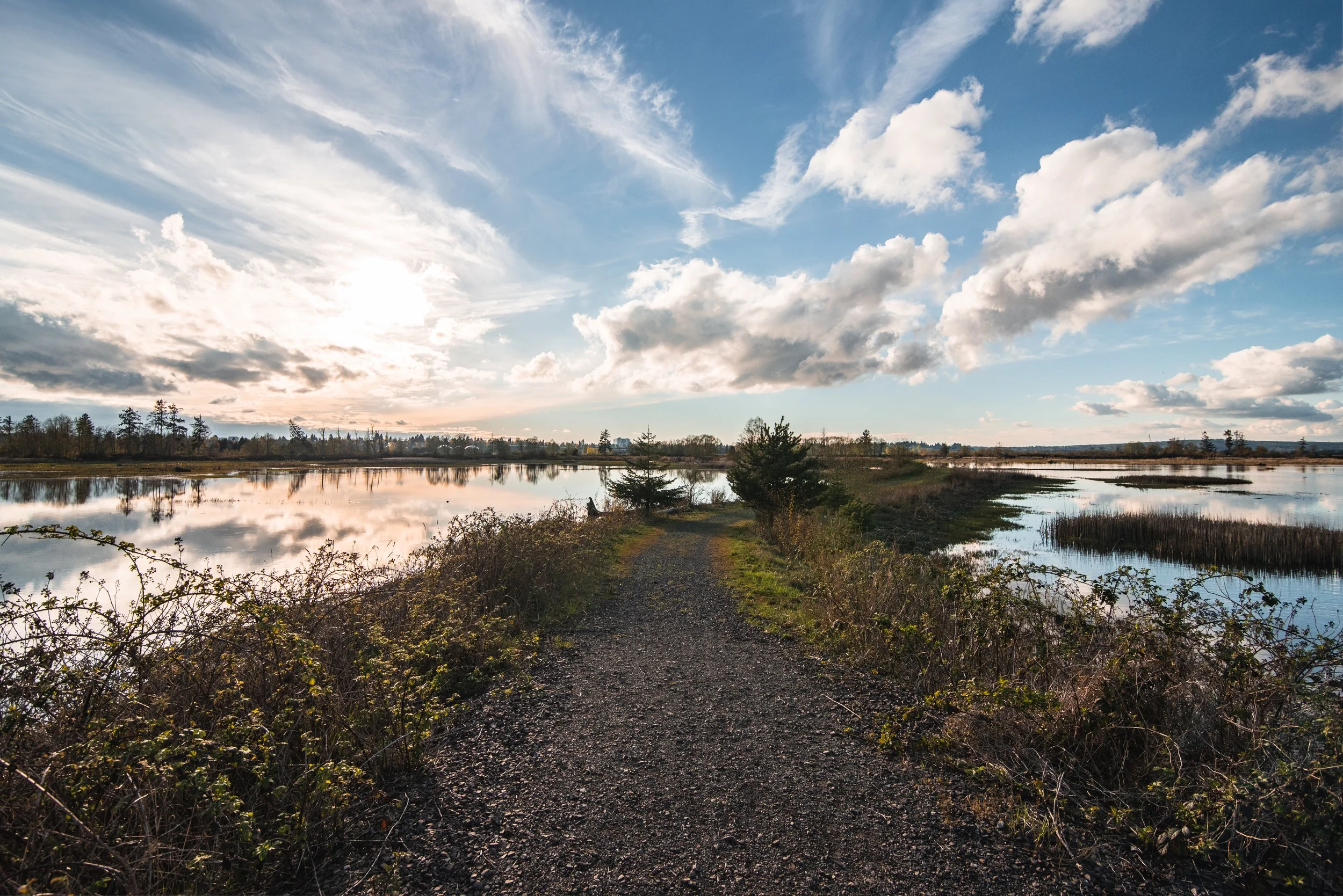 DSC_6236-HDR.jpg