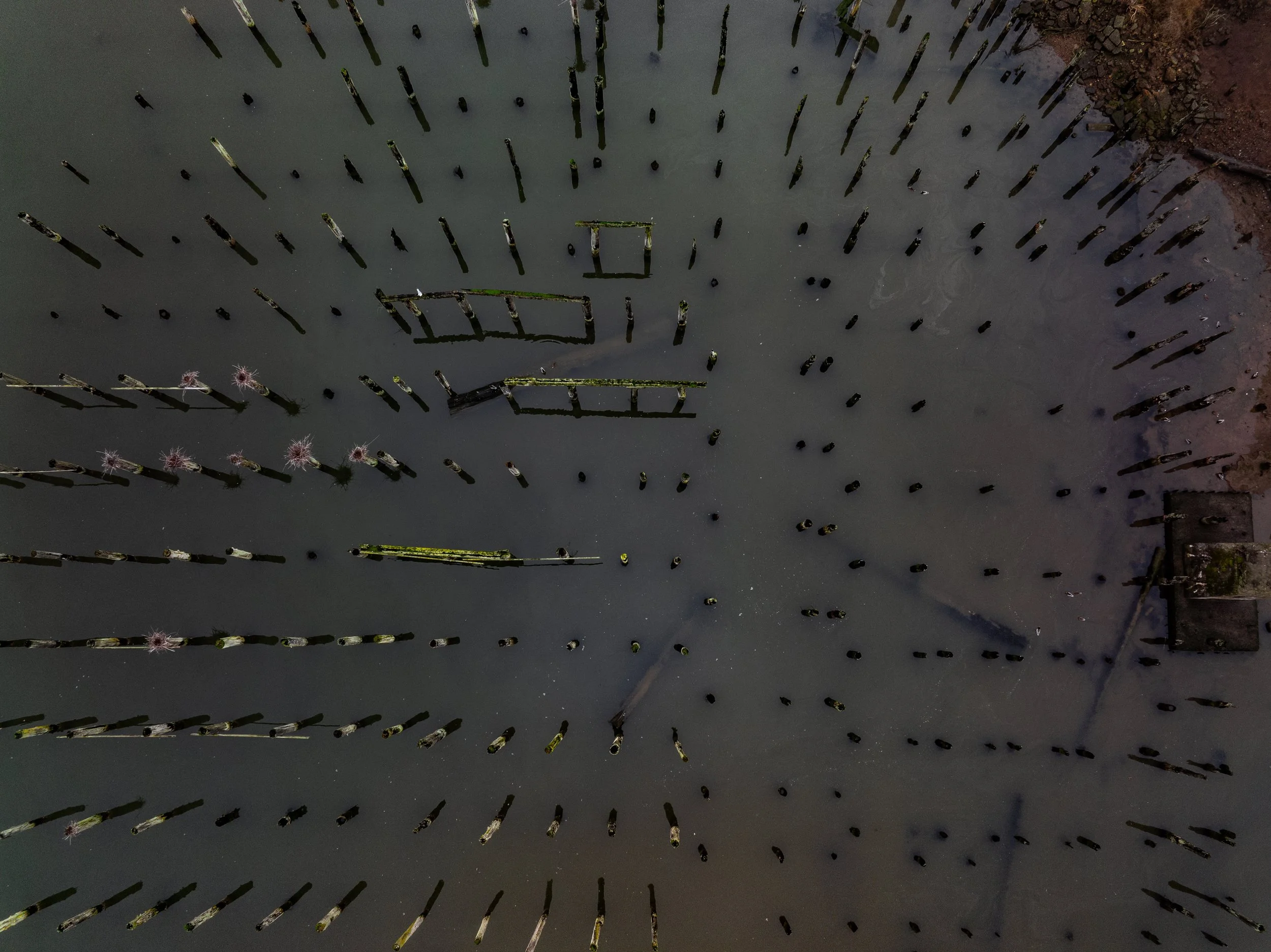 DJI_0016.jpg