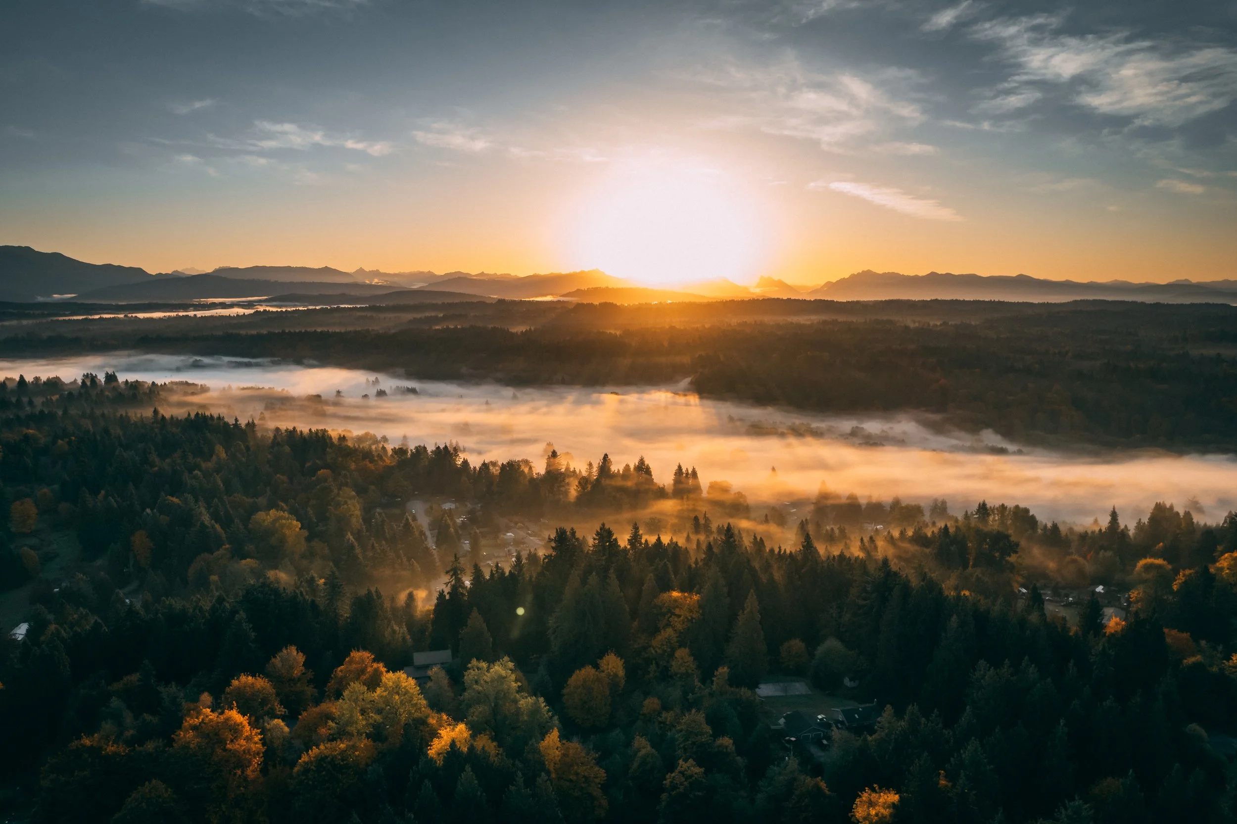 DJI_0278.jpg