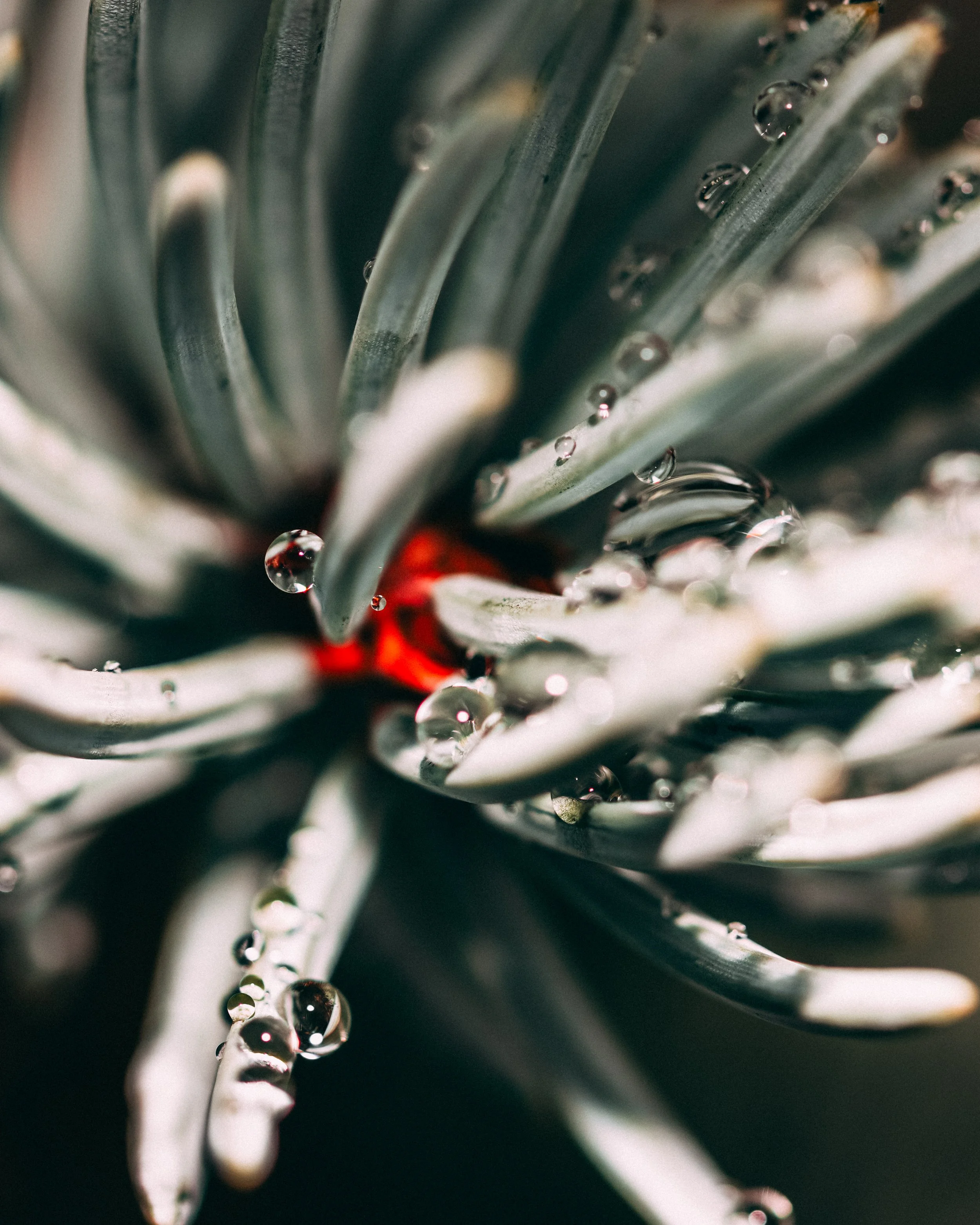 _EBL9497-Edit.jpg