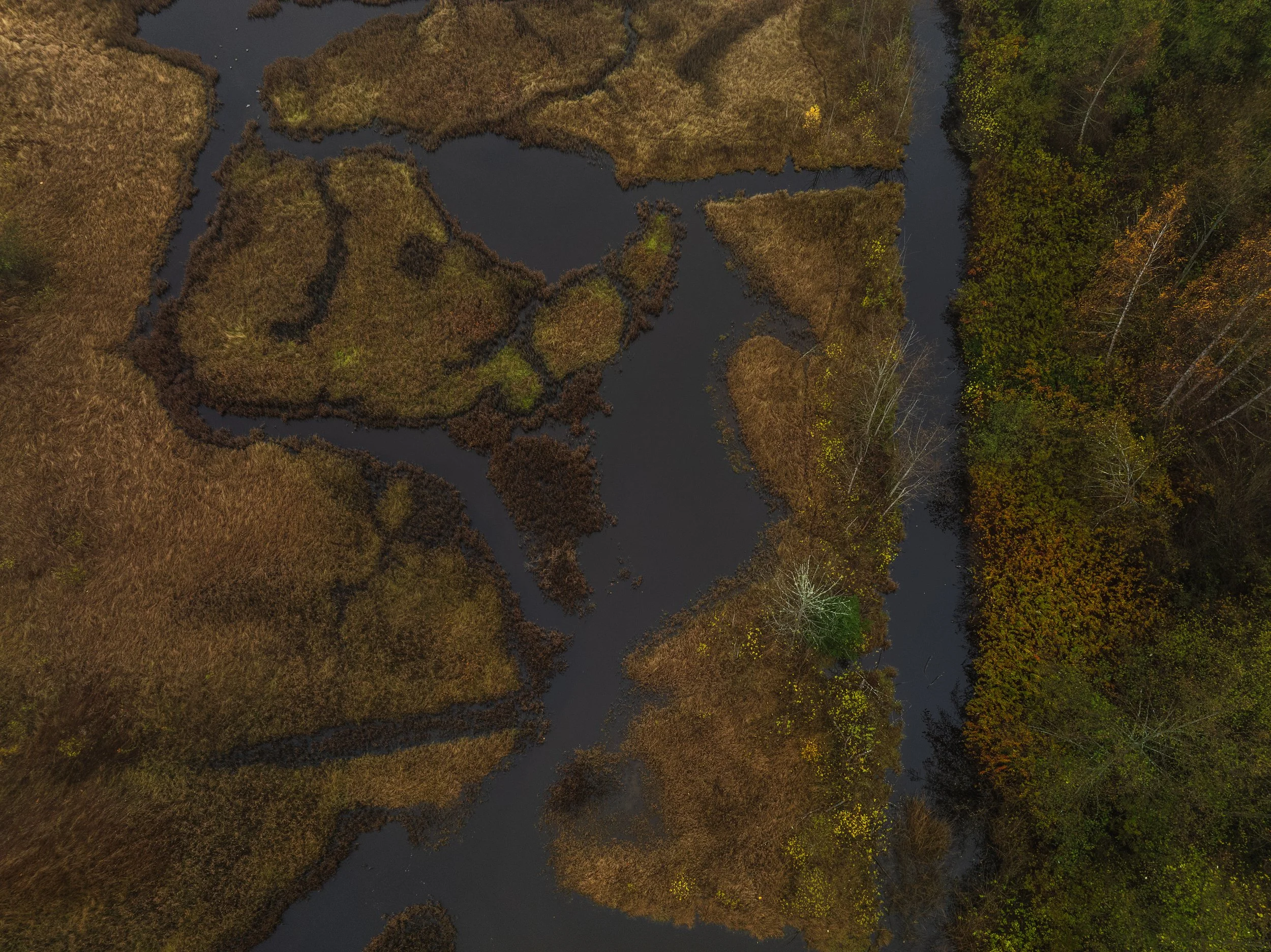 DJI_0038.jpg