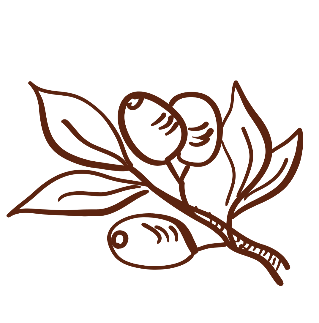 Sabryna Cisneros founder of The Portugal Bride Co english speaking wedding advisor in Lisbon