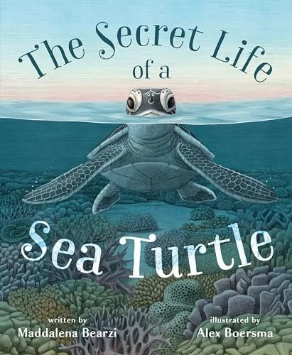 sea turtle.jpg