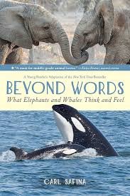 whales and elephants.jpeg