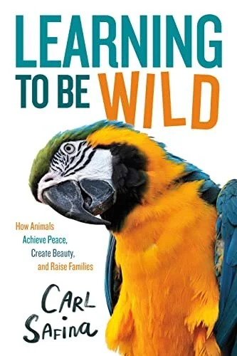 learning to be wild.jpg