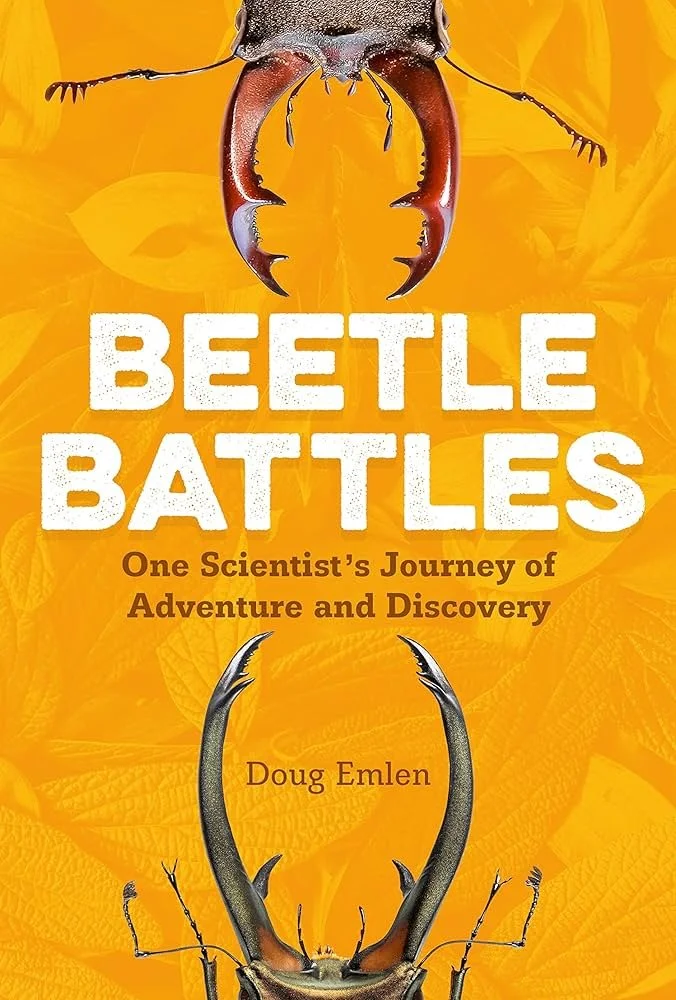 beetle battles.jpg