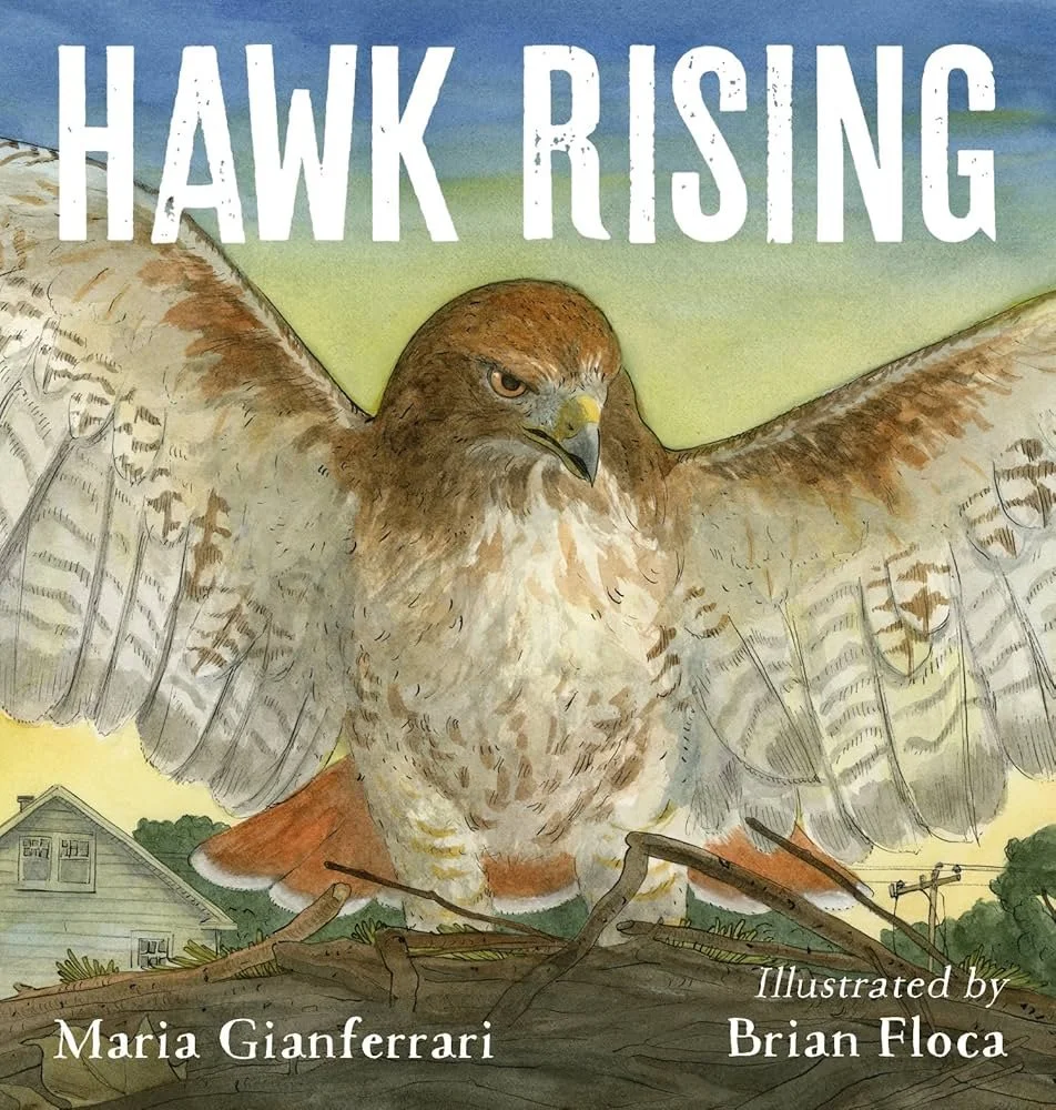 Hawk Rising.jpg