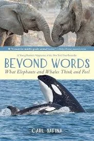 whales and elephants.jpeg