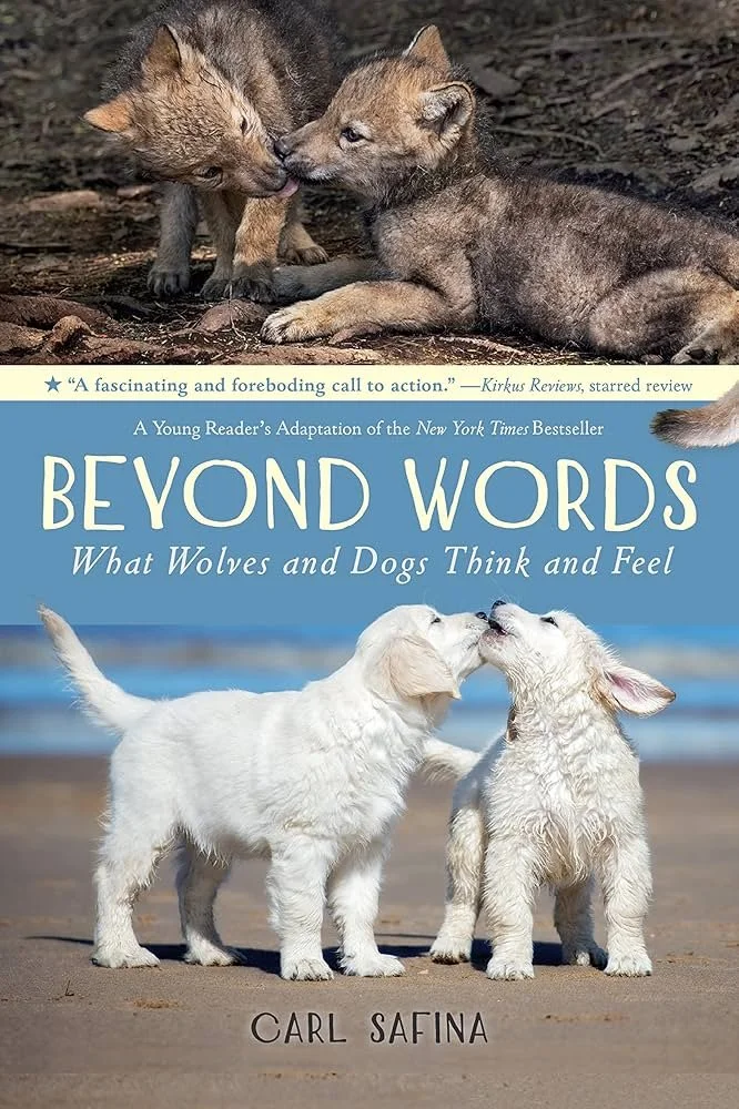 wolves and dogs.jpg