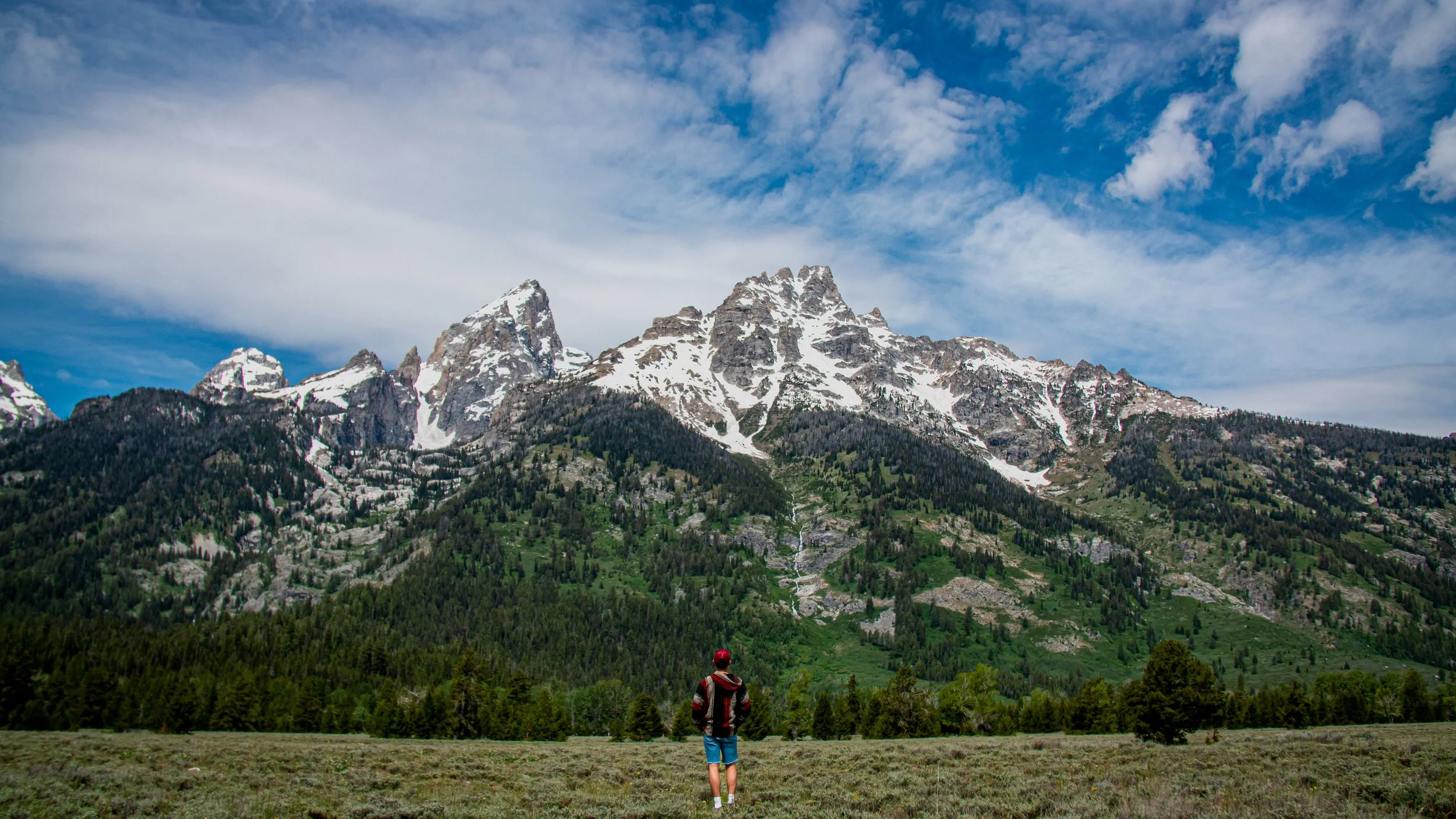 A person standing in a grassy field looking at snow-capped mountains under a partly cloudy sky.