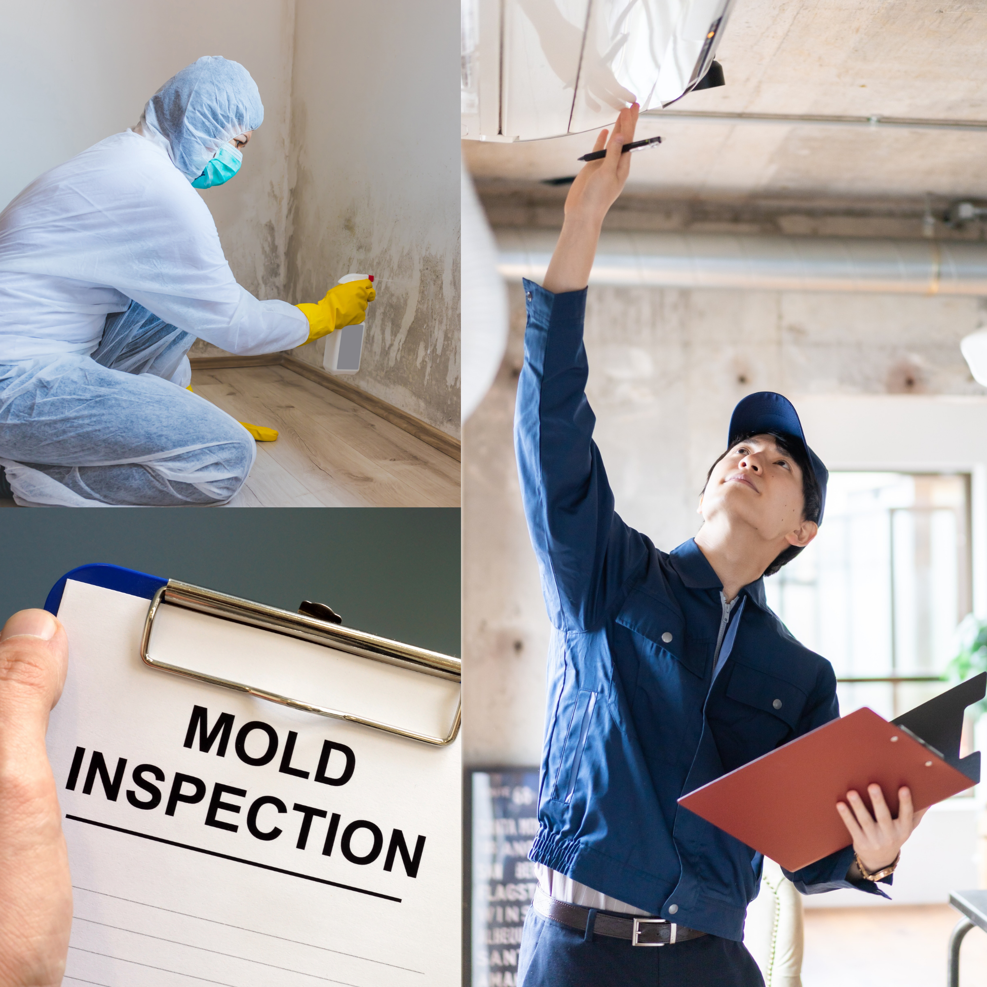 Person in a blue jacket and cap holding a clipboard, with another person inspecting a wall in a construction or inspection setting.