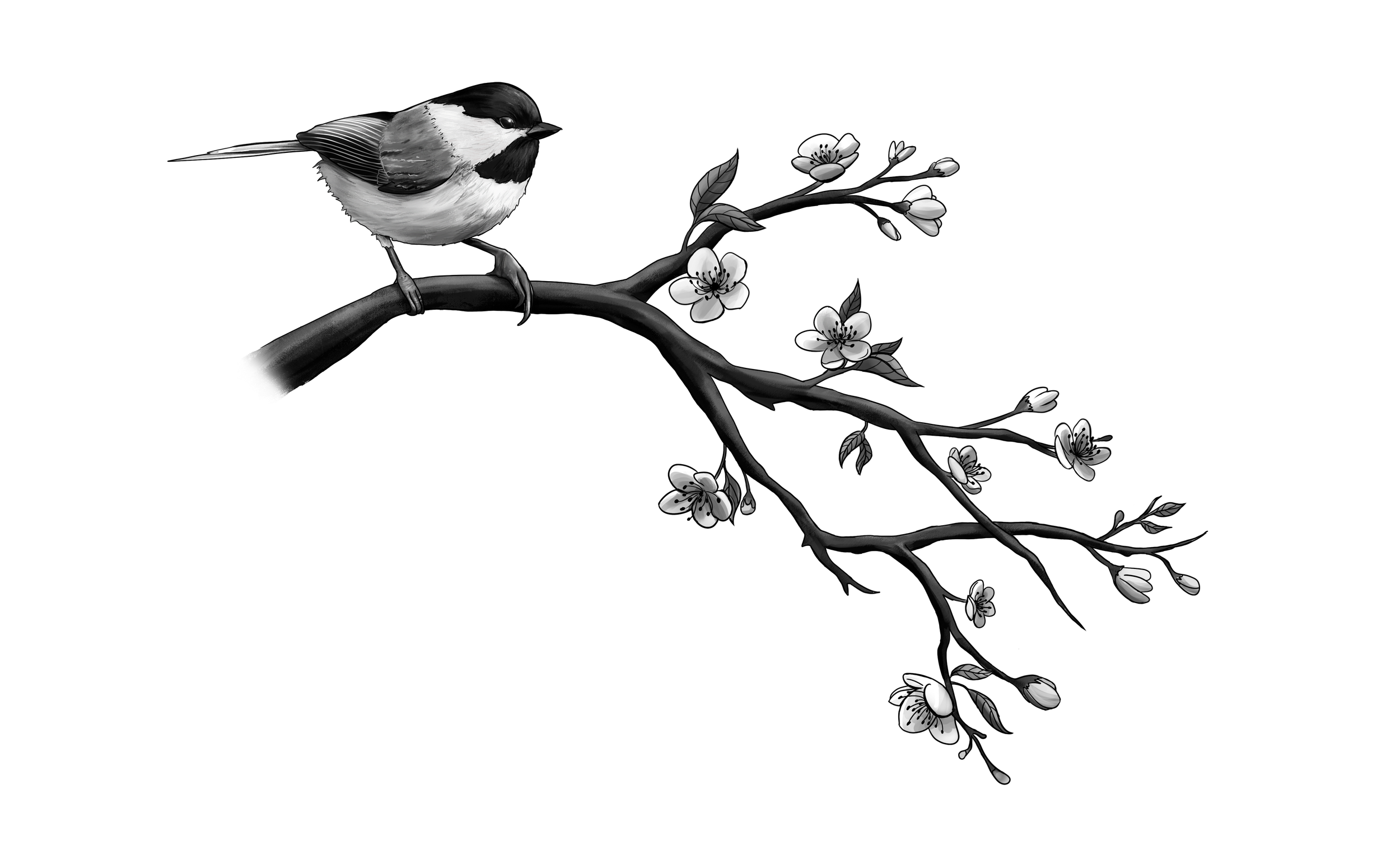 leahs chickadee tattoo finalDraft.png