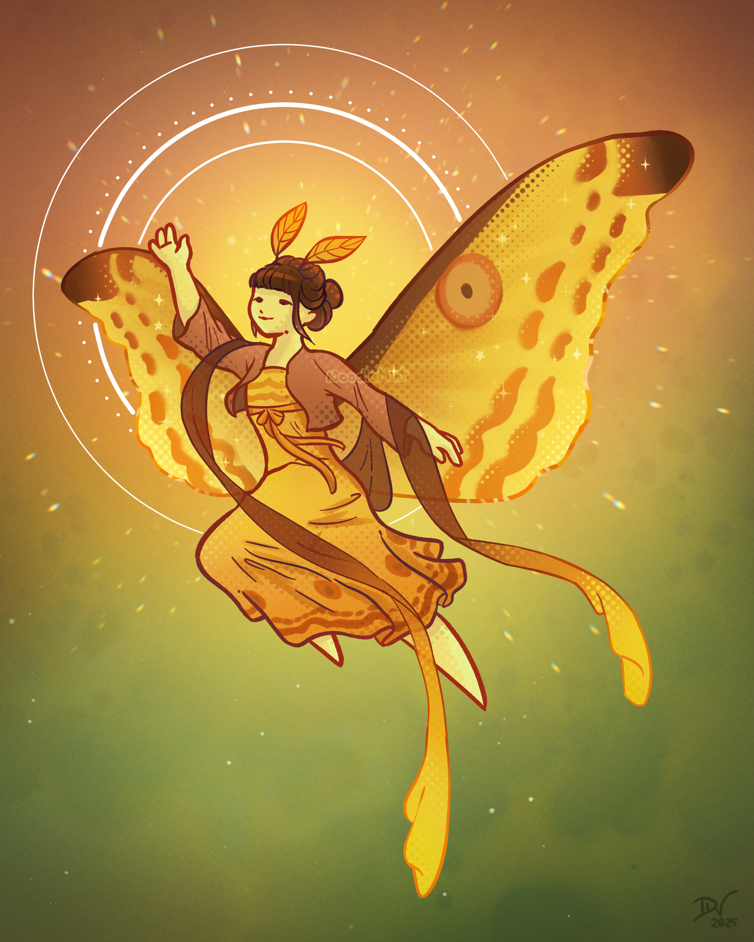Comet Moth