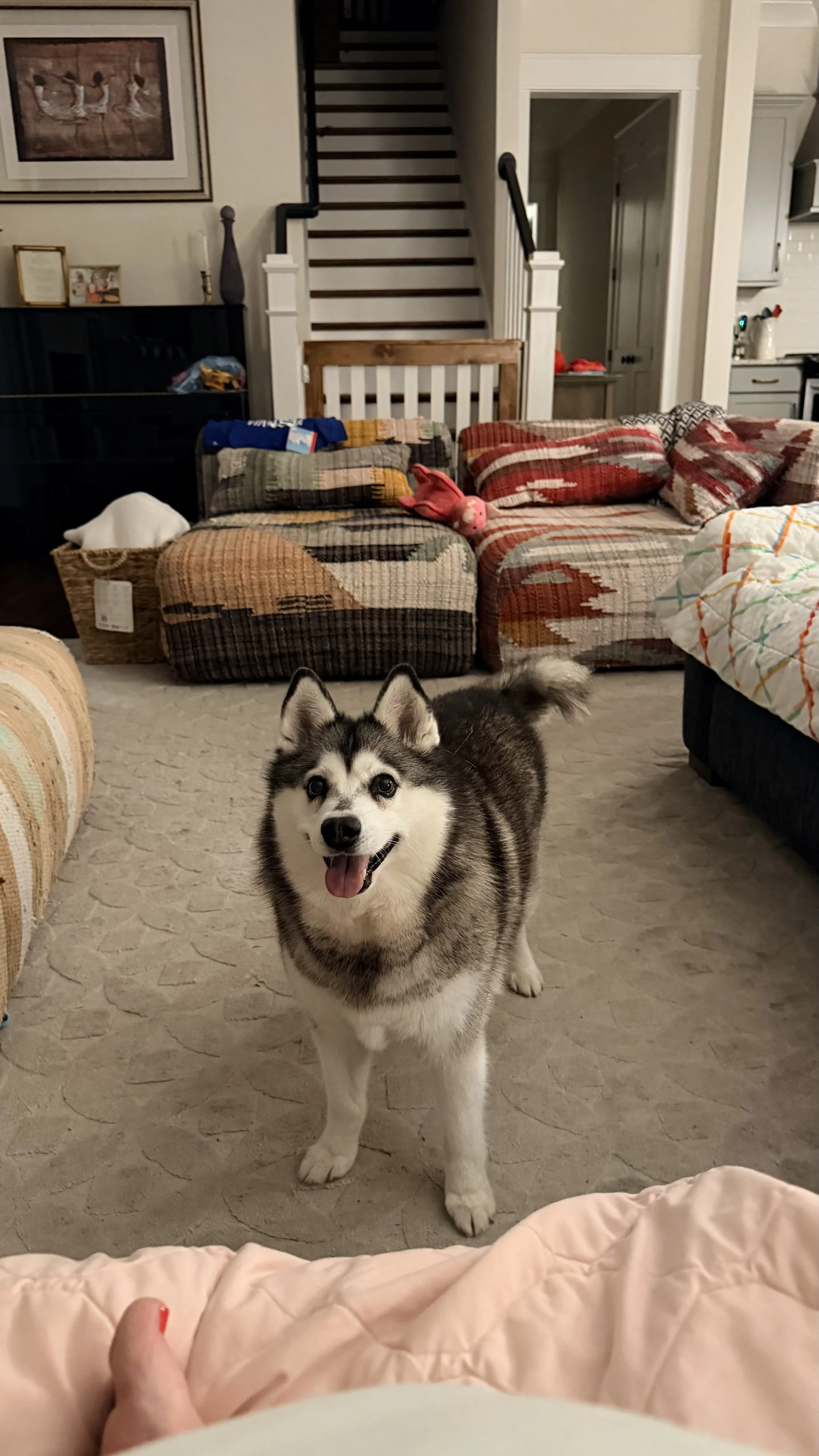 IMG_4611.jpeg