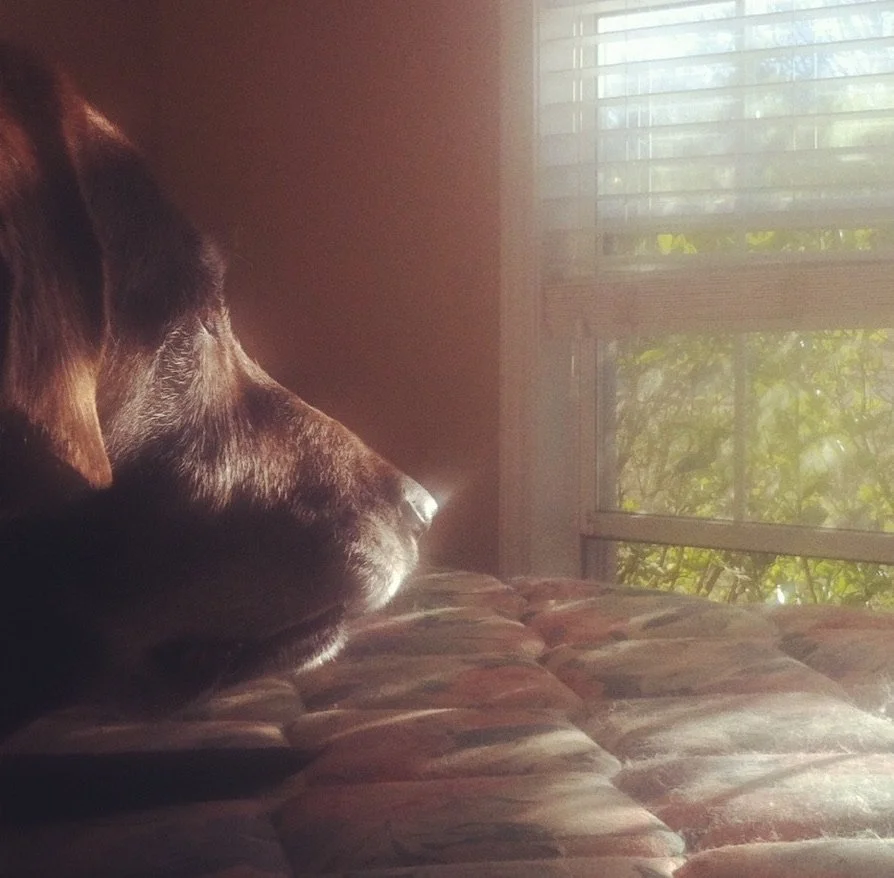 16166A86-D148-4D08-B407-5D6268FEFFCB_1_105_c.jpeg