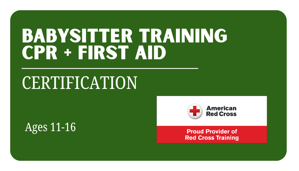 Babysitter Certification Course