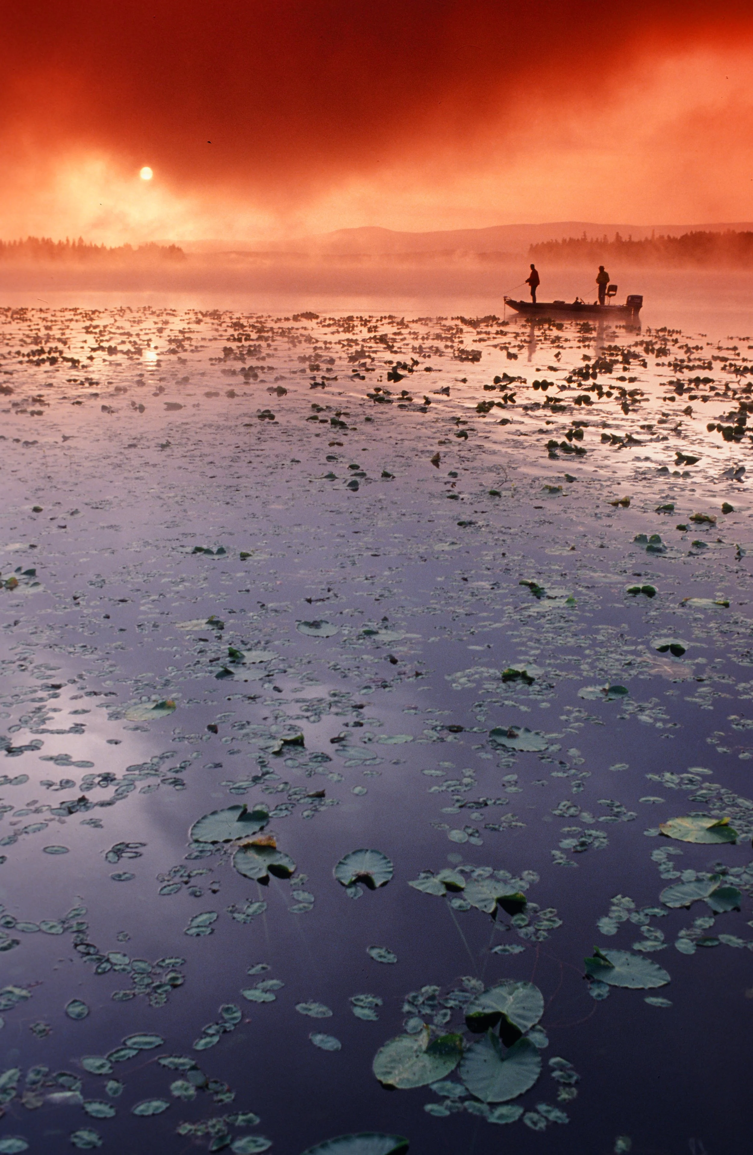 Portland based Professional Photographer Gary Nolton shot all the G. Loomis Fishing print advertising for 3 years