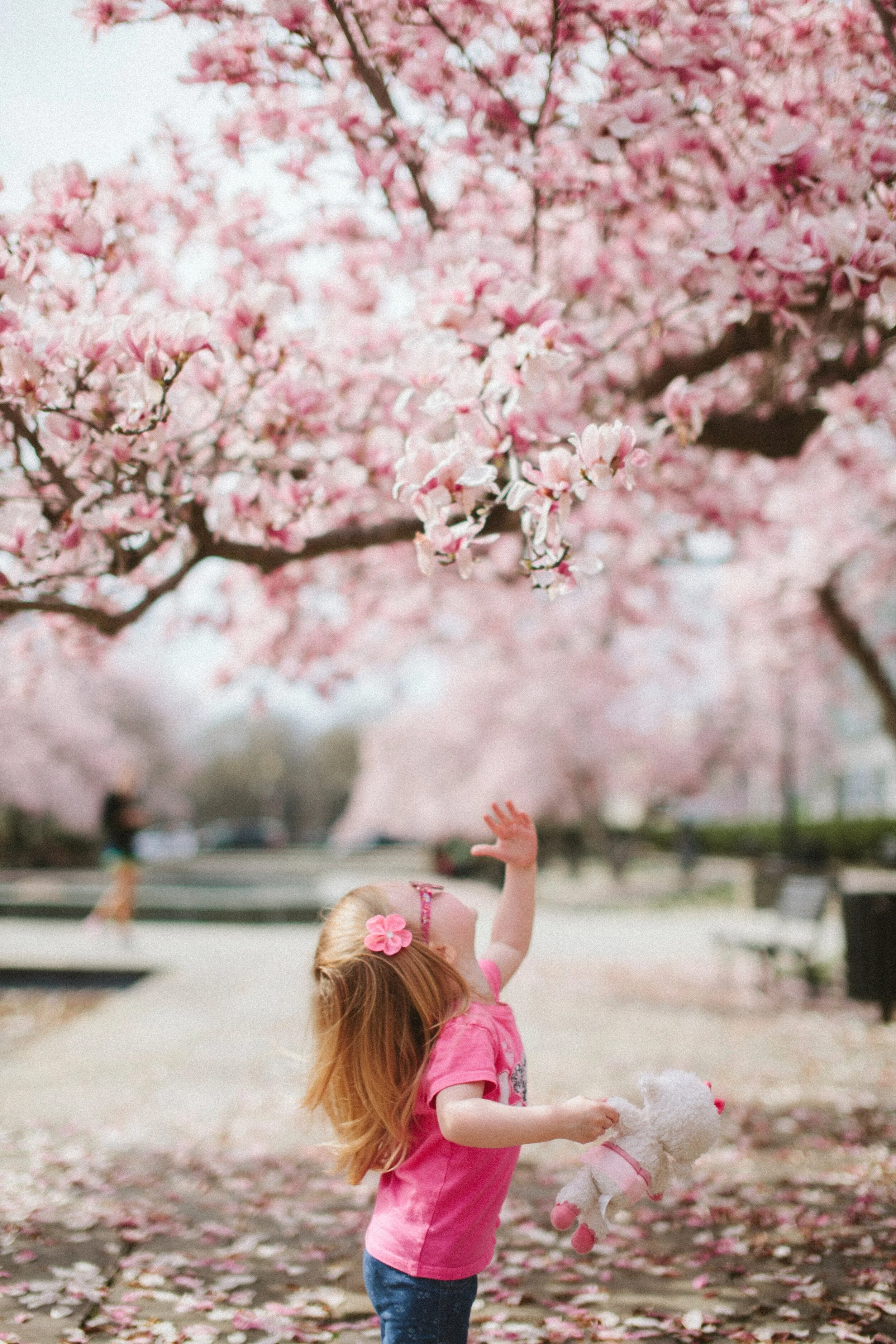 A young girl in a pink shirt and jeans reaches up to a cherry blossom tree, holding a plush stuffed animal, with fallen pink blossoms on the ground and a park setting in the background.