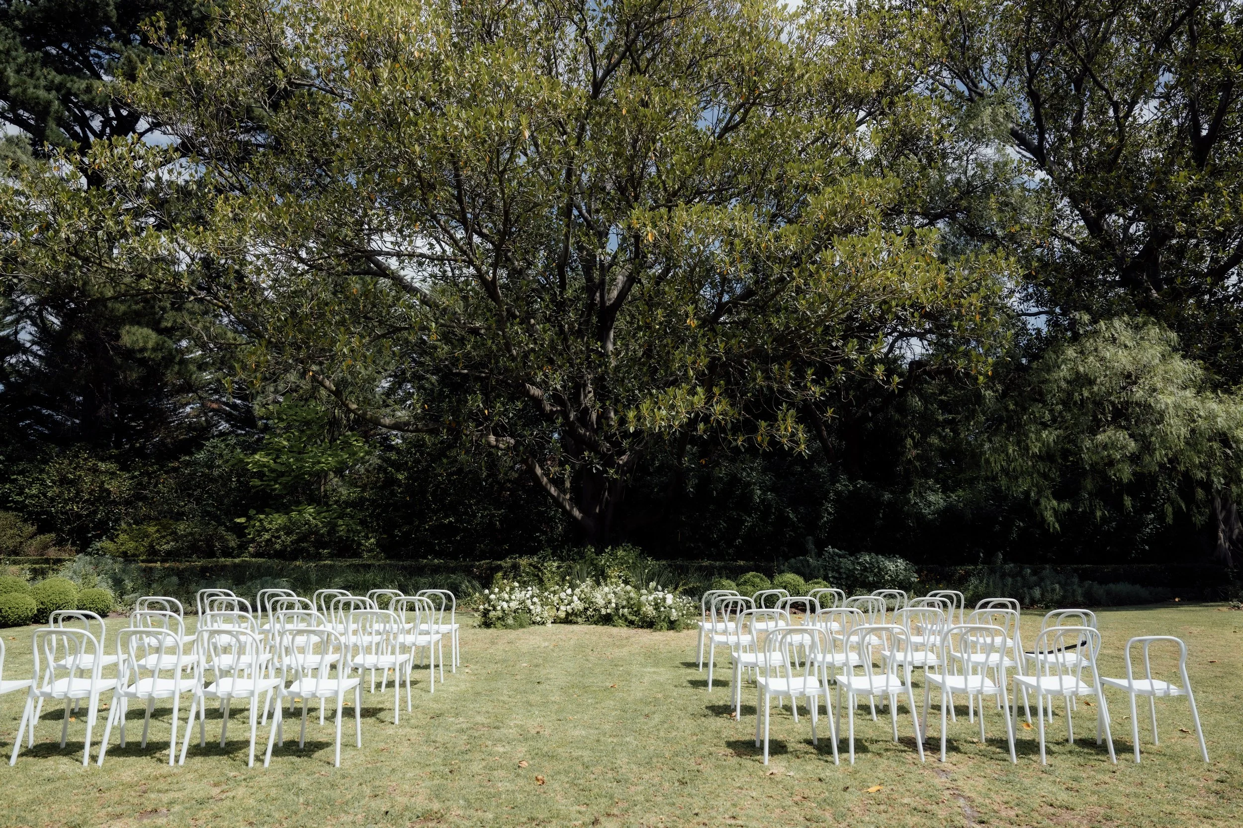 Outdoor ceremony setup with white chairs on a grassy field under large trees, with a backdrop of dense greenery and blue sky.