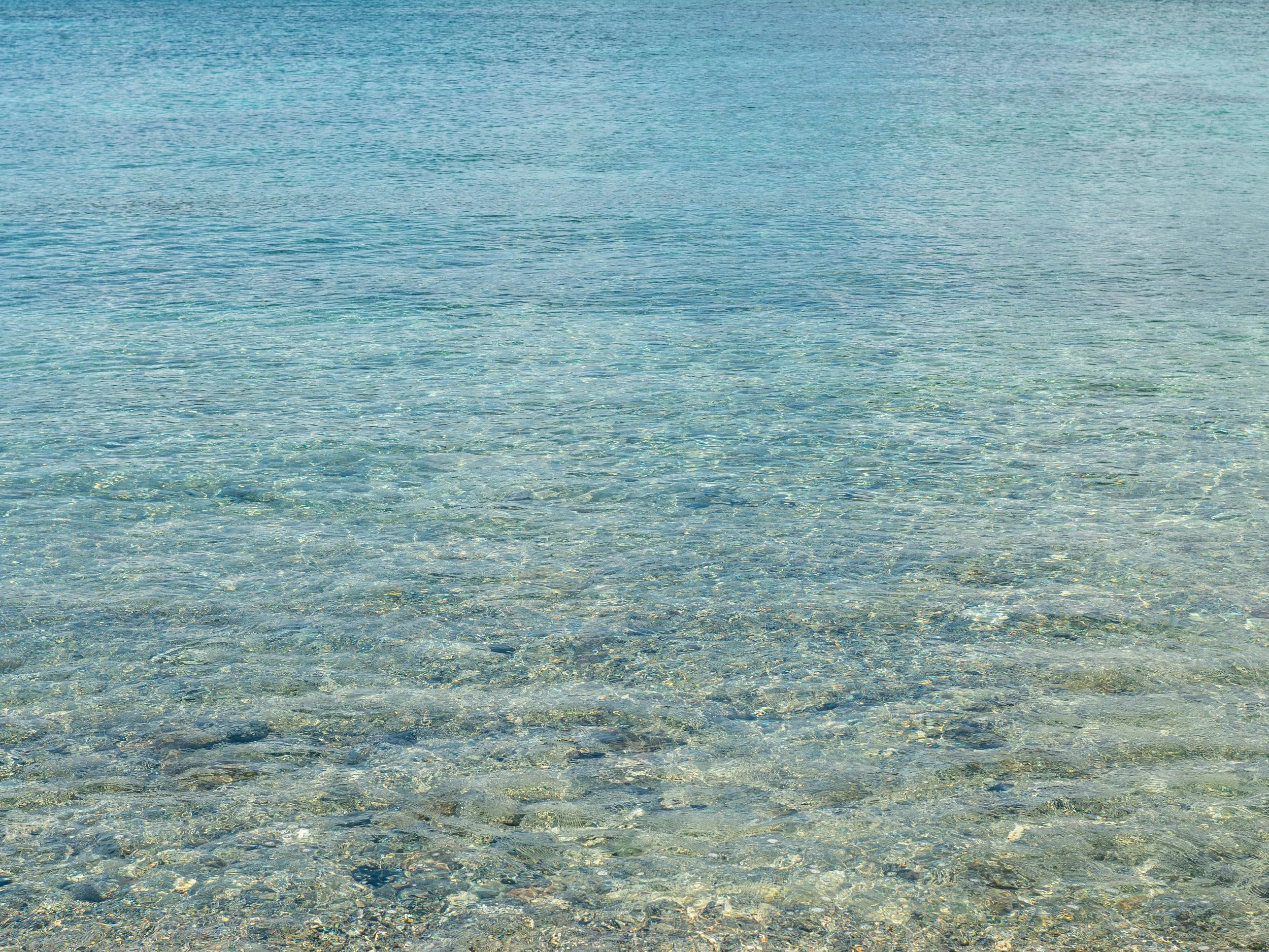海とわたしの境界が消えた日