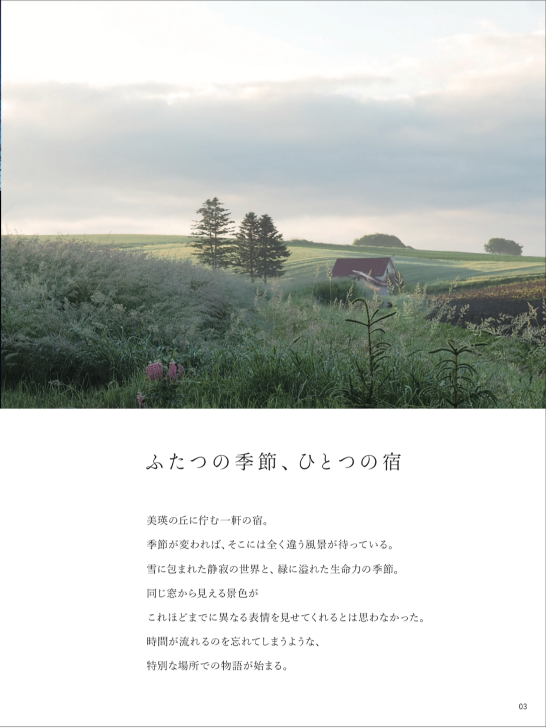 IMG_4653.png